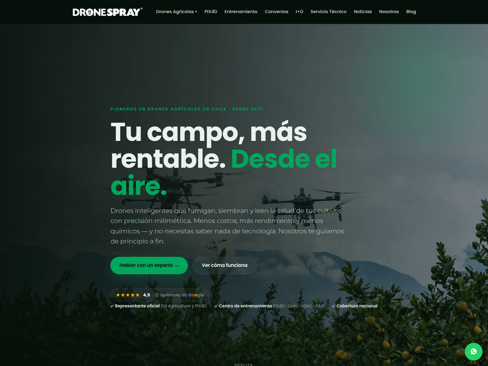 Screenshot of dronespray.cl