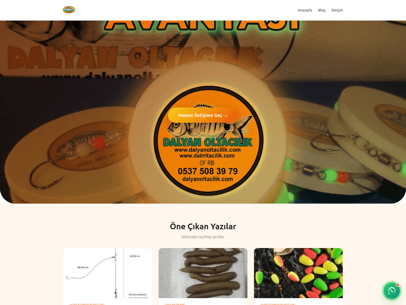 Screenshot of denoolta.com