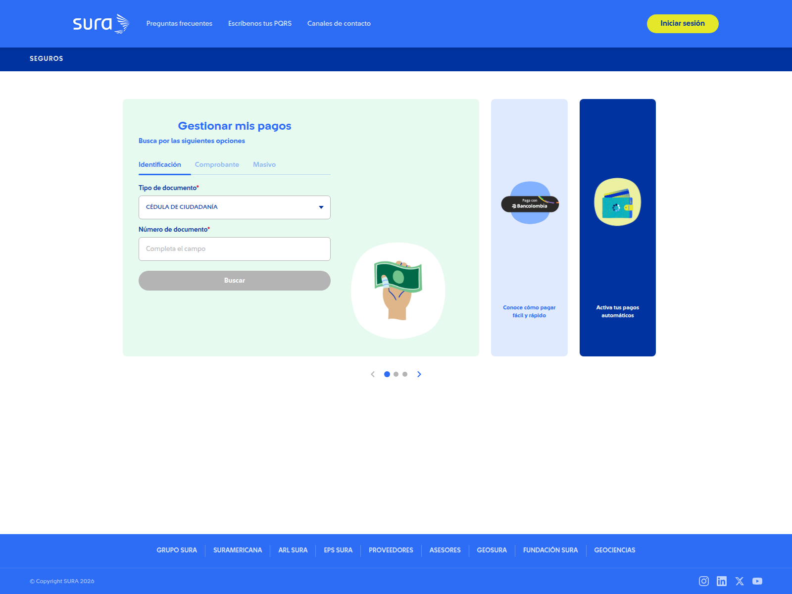 Screenshot of consultsur.com