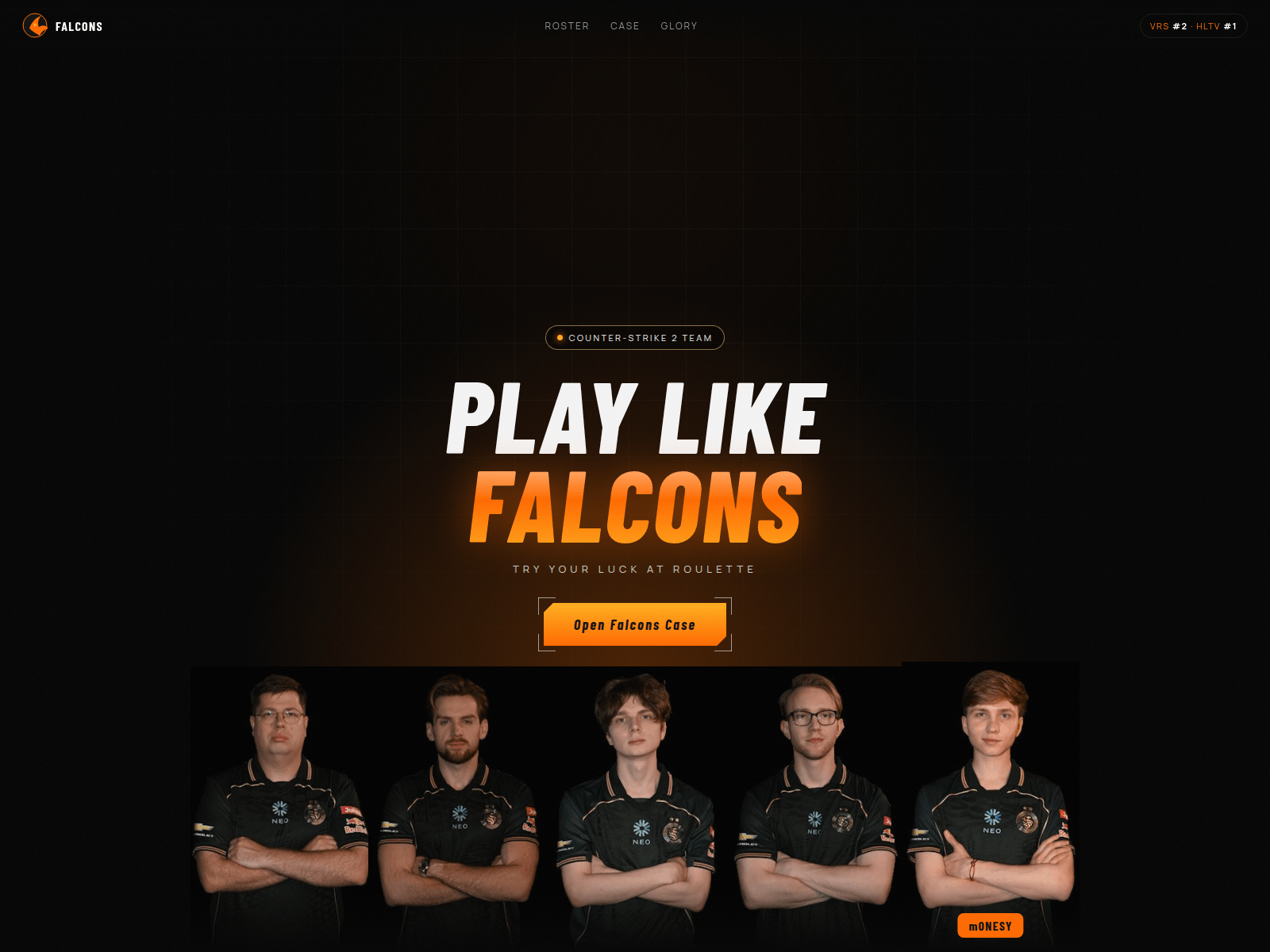 Screenshot of falconspro.org