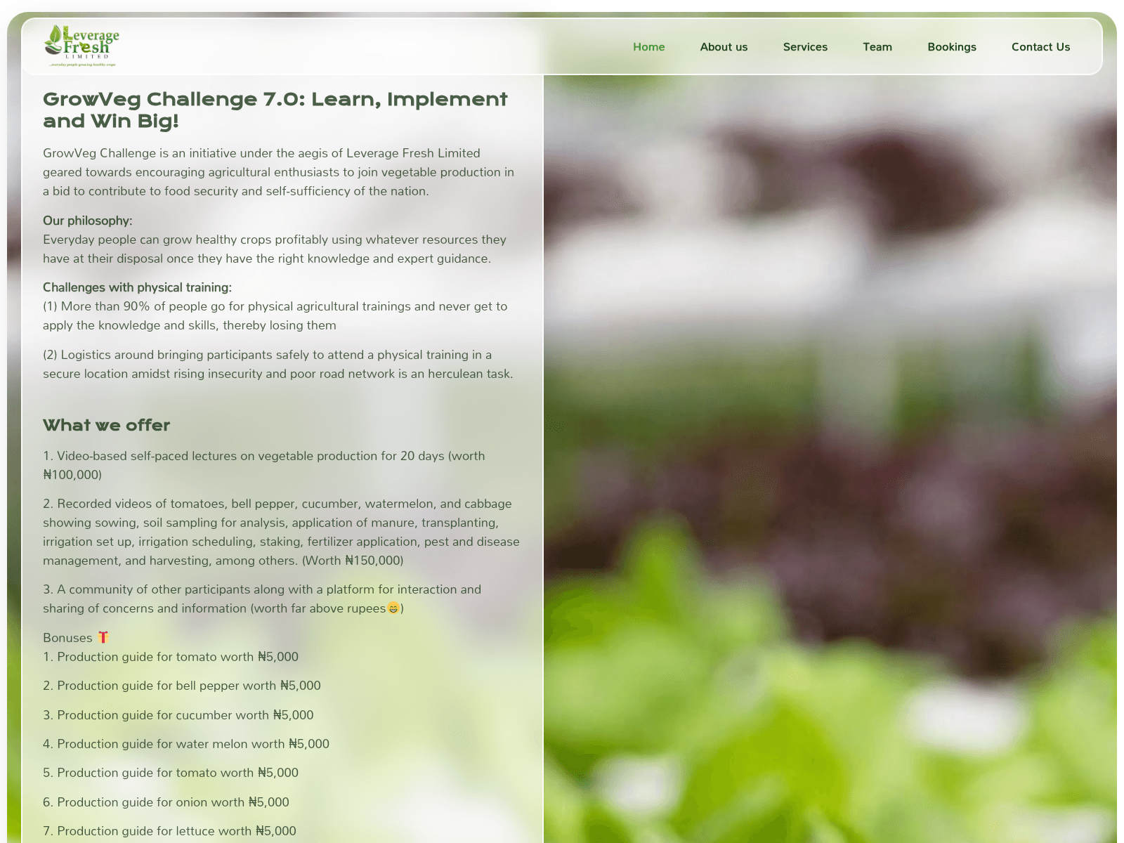 Screenshot von leveragefresh.com