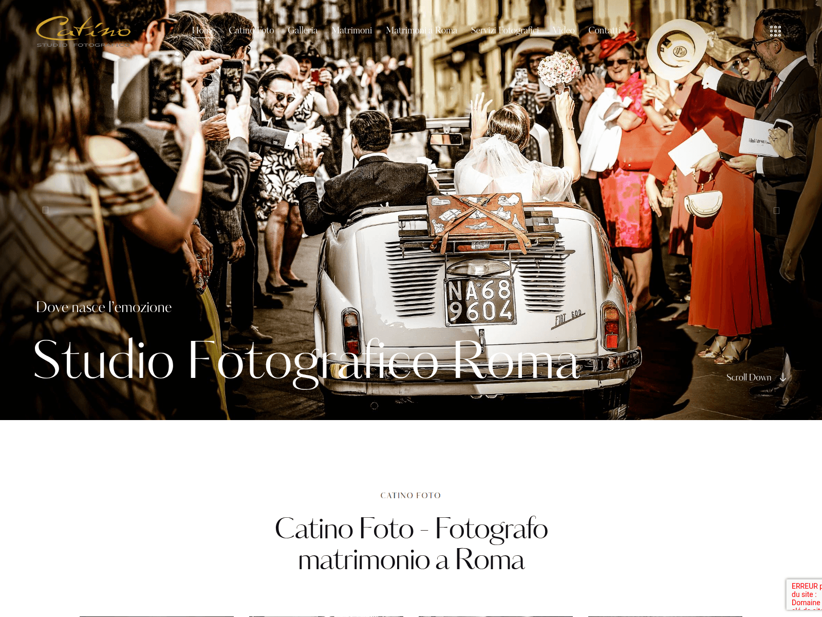Screenshot of catinofoto.live