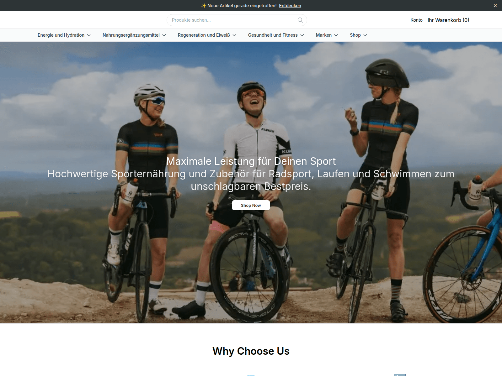 Screenshot of 4enduranceco.shop