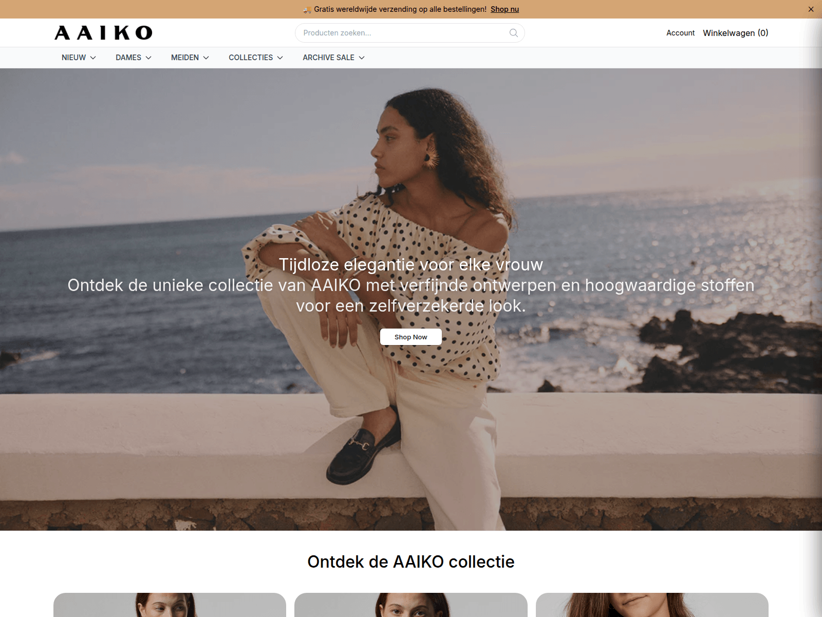 Screenshot of aaiko.shop