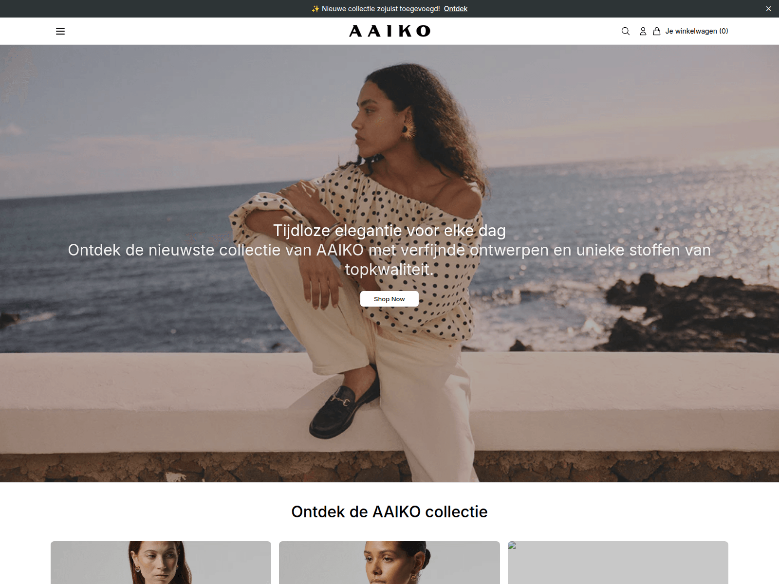 Screenshot of aaikoonline.shop