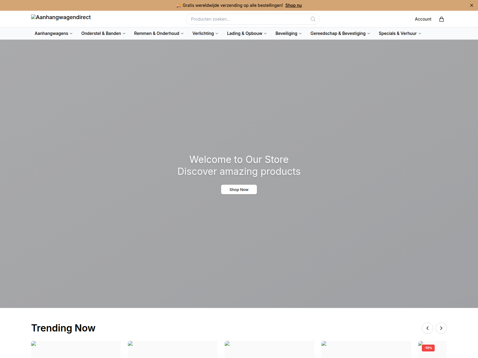Screenshot of aanhanggear.shop