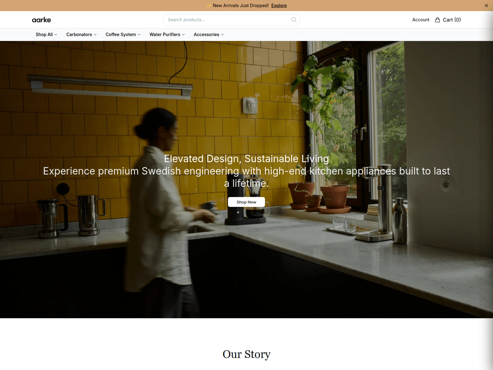 Screenshot of aarkeofficial.shop