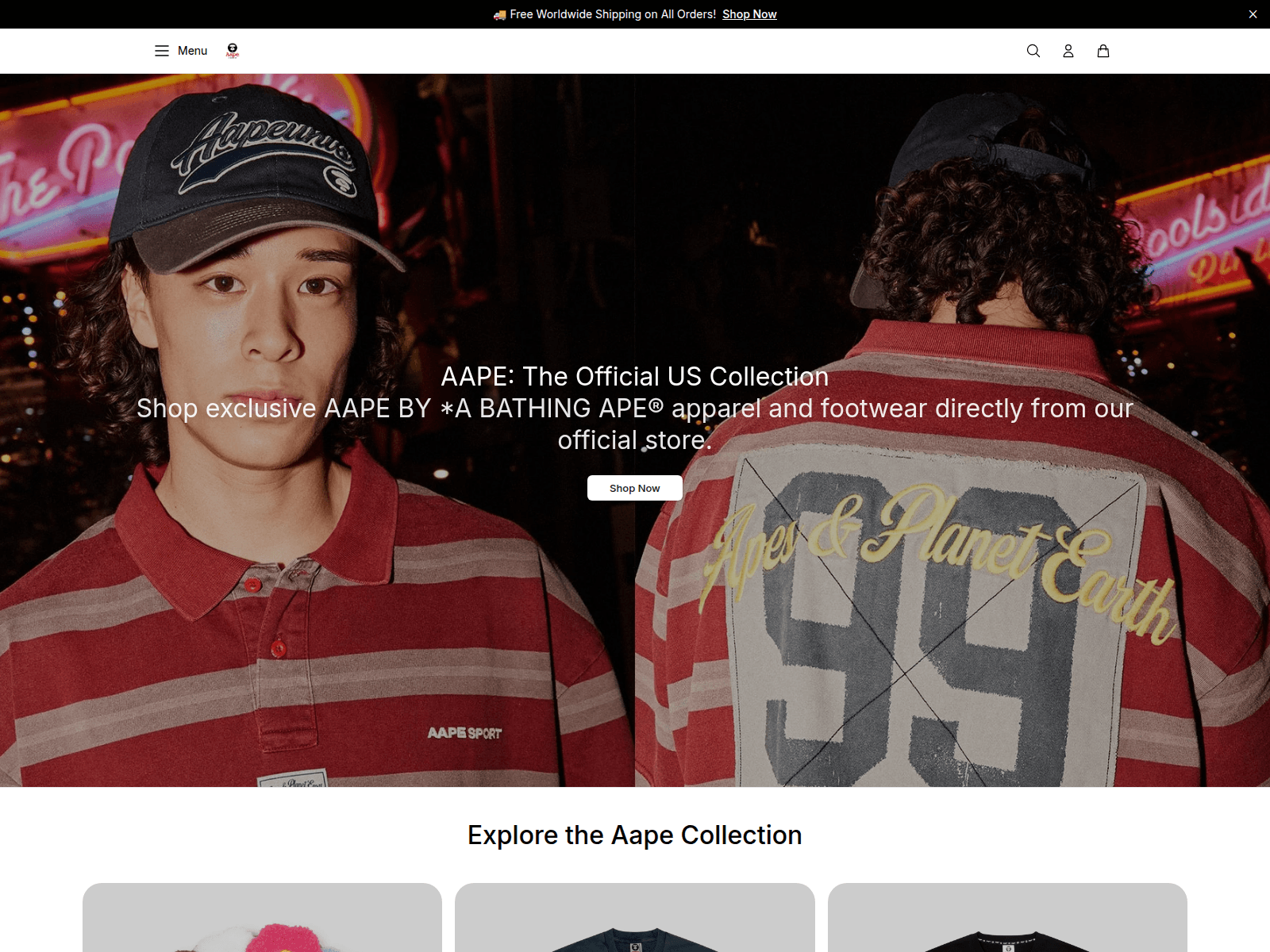 Screenshot of aapestudio.shop