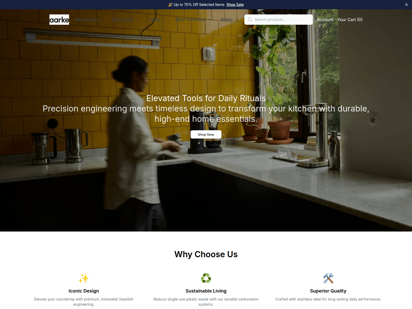 Screenshot of aarkestore.shop