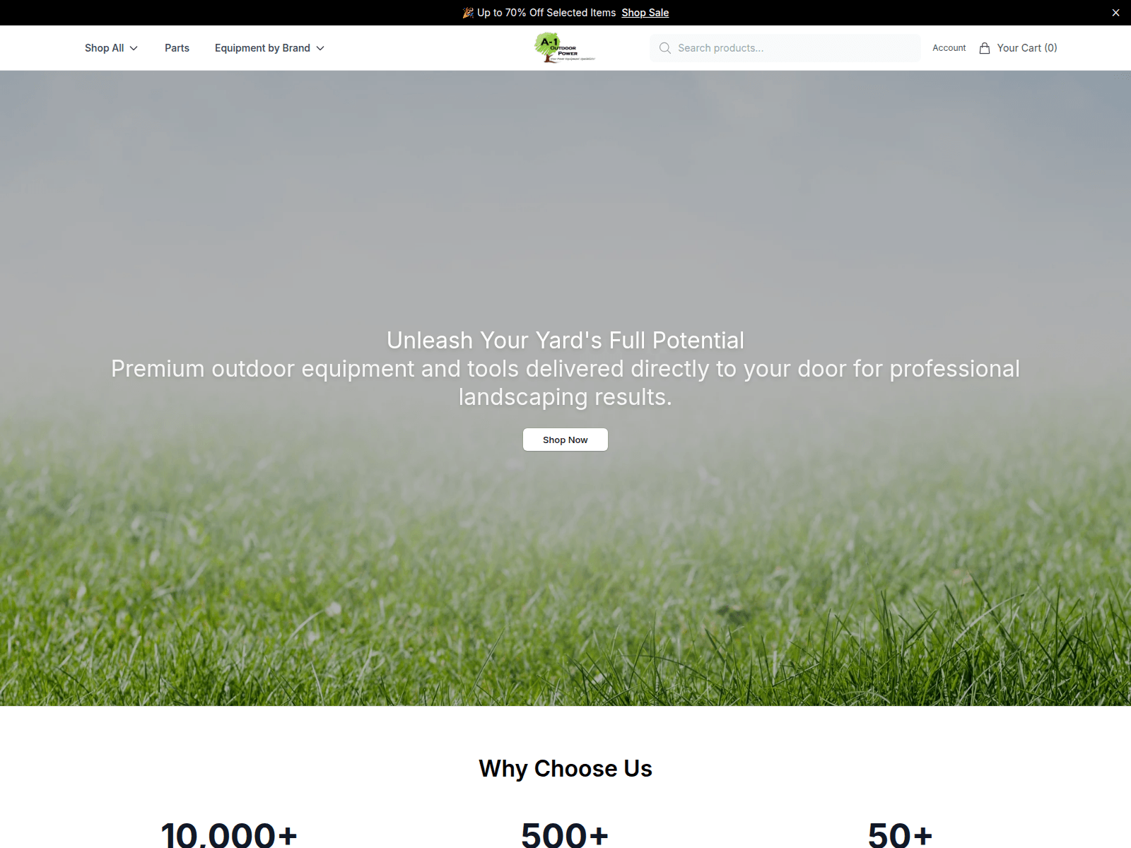 Screenshot of a1outdoogo.shop