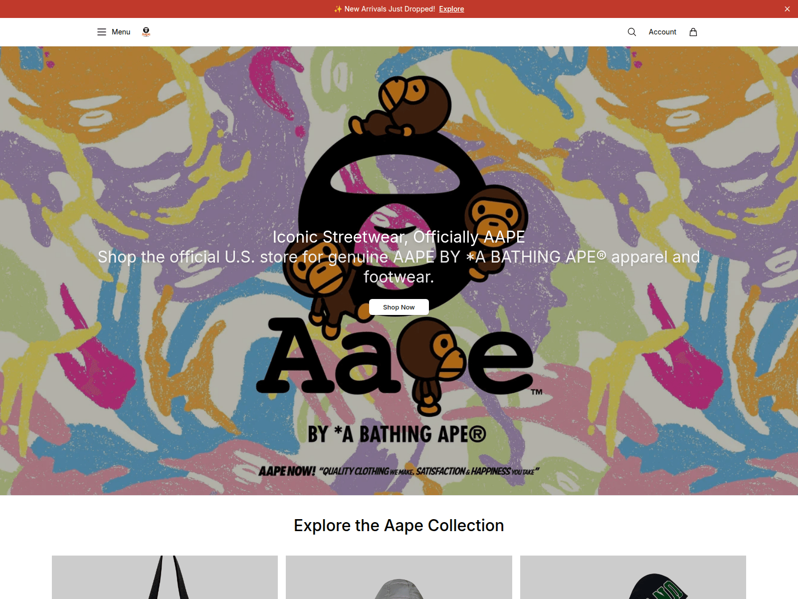 Screenshot of aapestore.shop