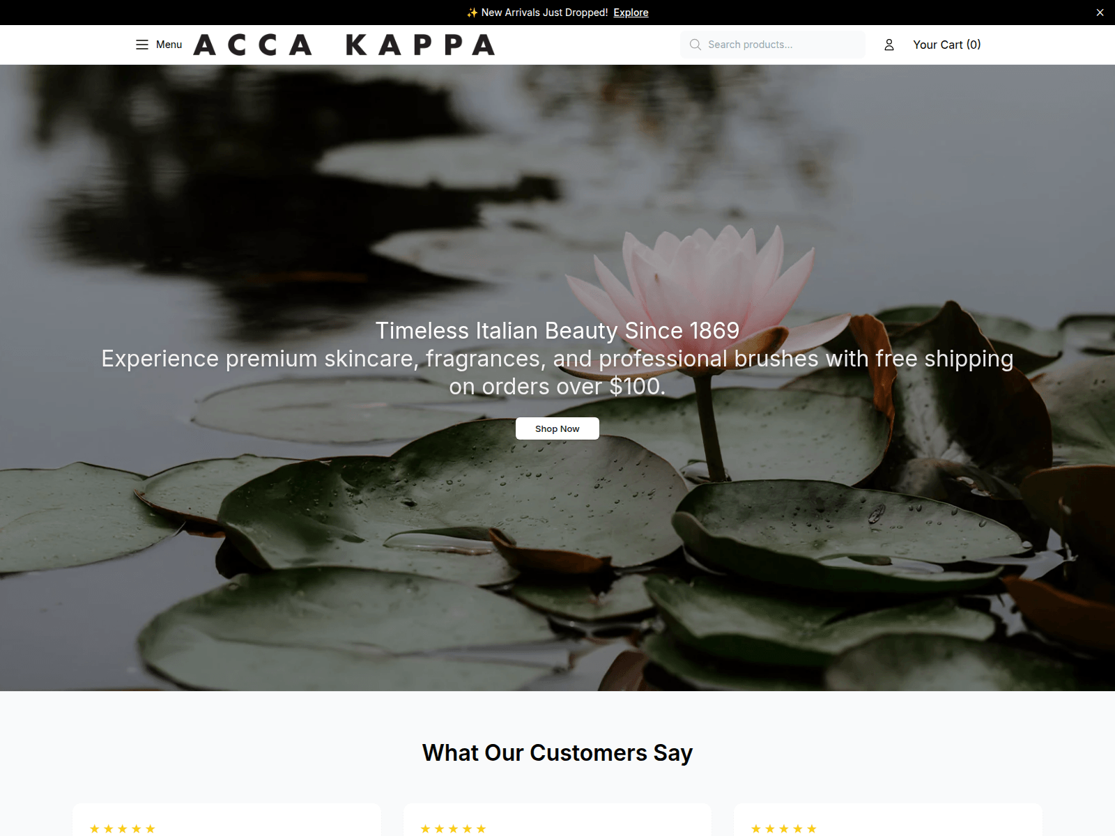 Screenshot of accakappashop.shop