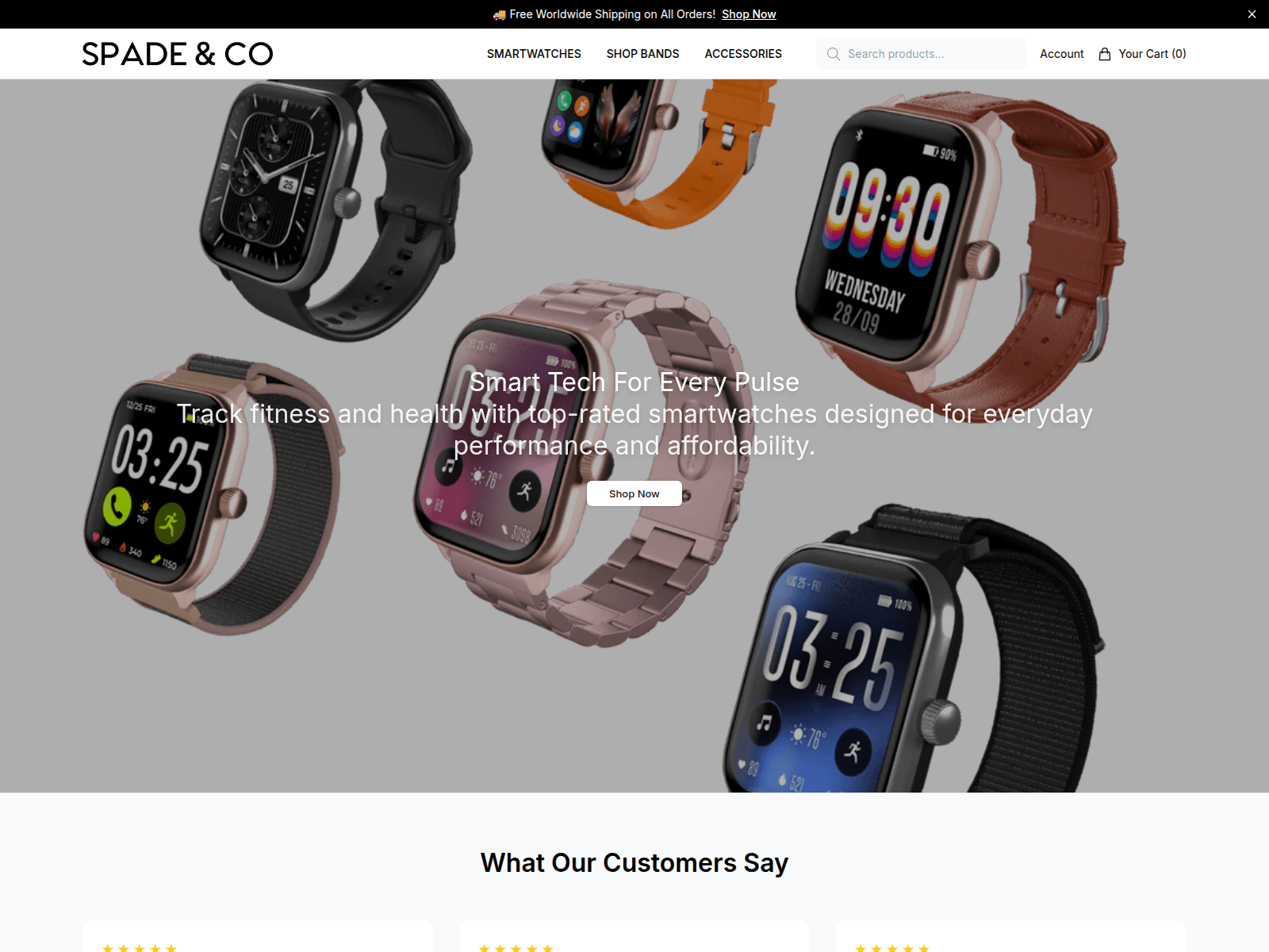 Screenshot of acecircuit.shop