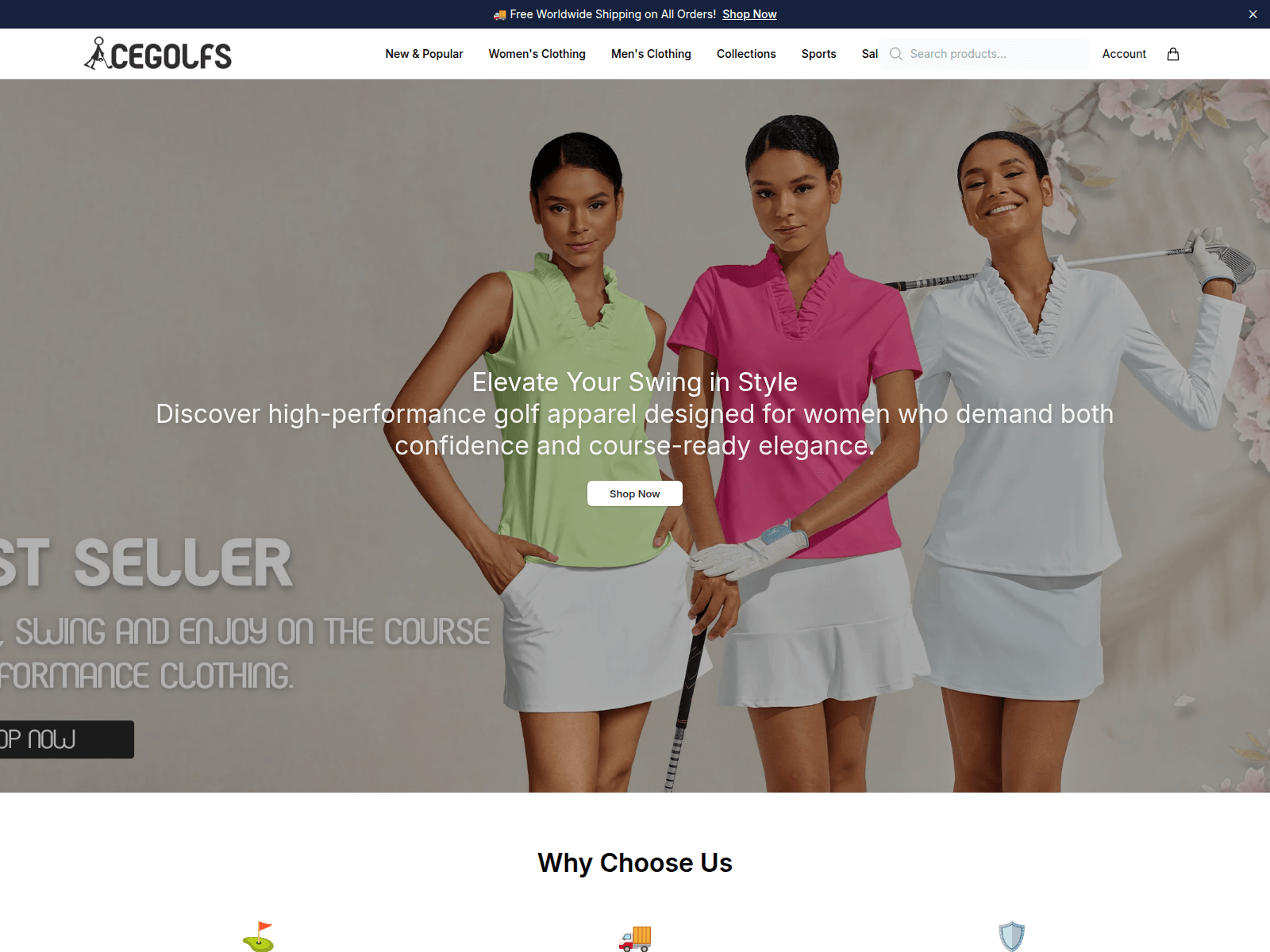 Screenshot of acegolfsonline.shop
