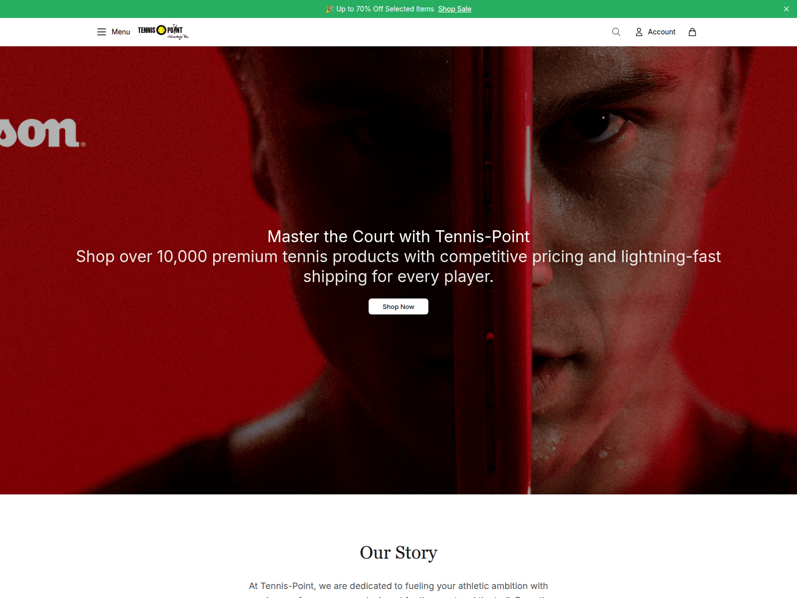 Screenshot of acepoint.shop