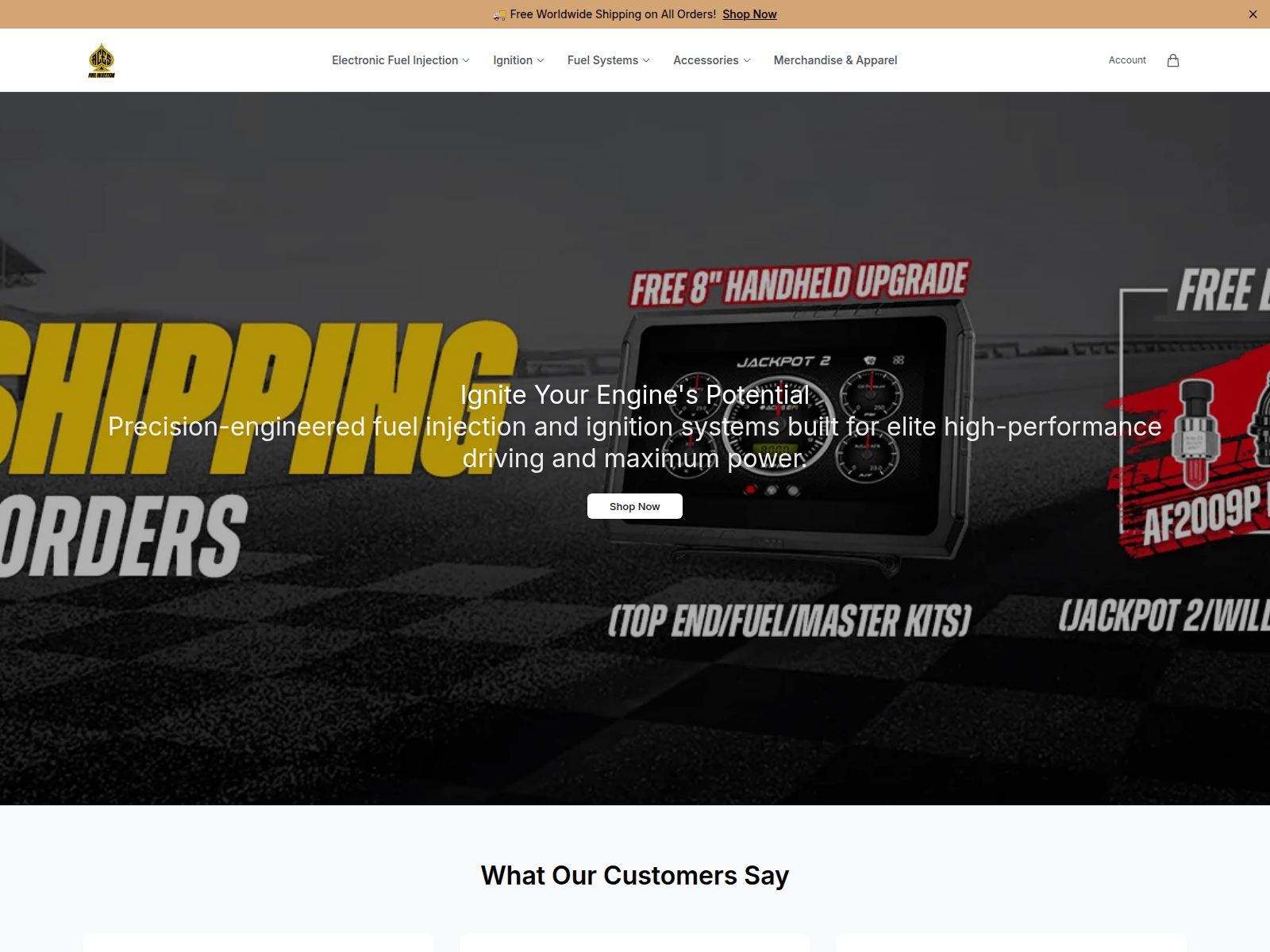 Screenshot of acesefidirect.shop
