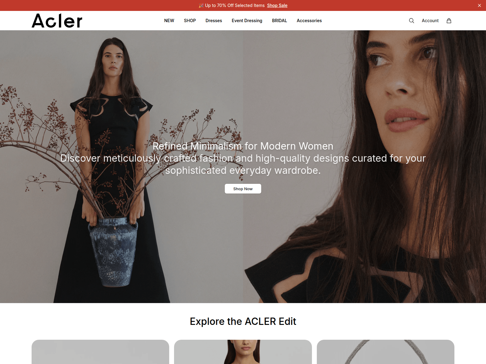 Screenshot of aclerstudio.shop