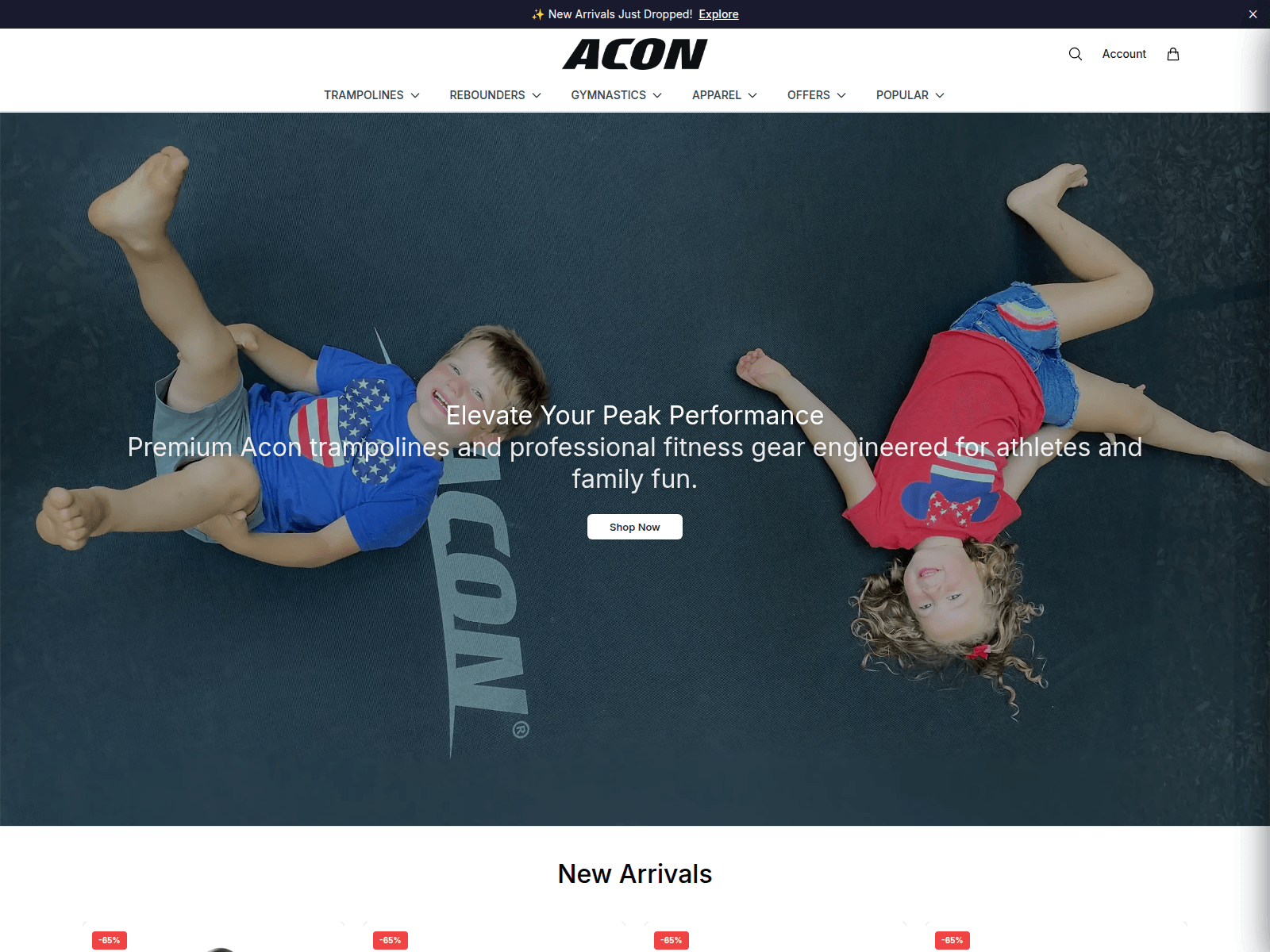 Screenshot of aconelite.shop