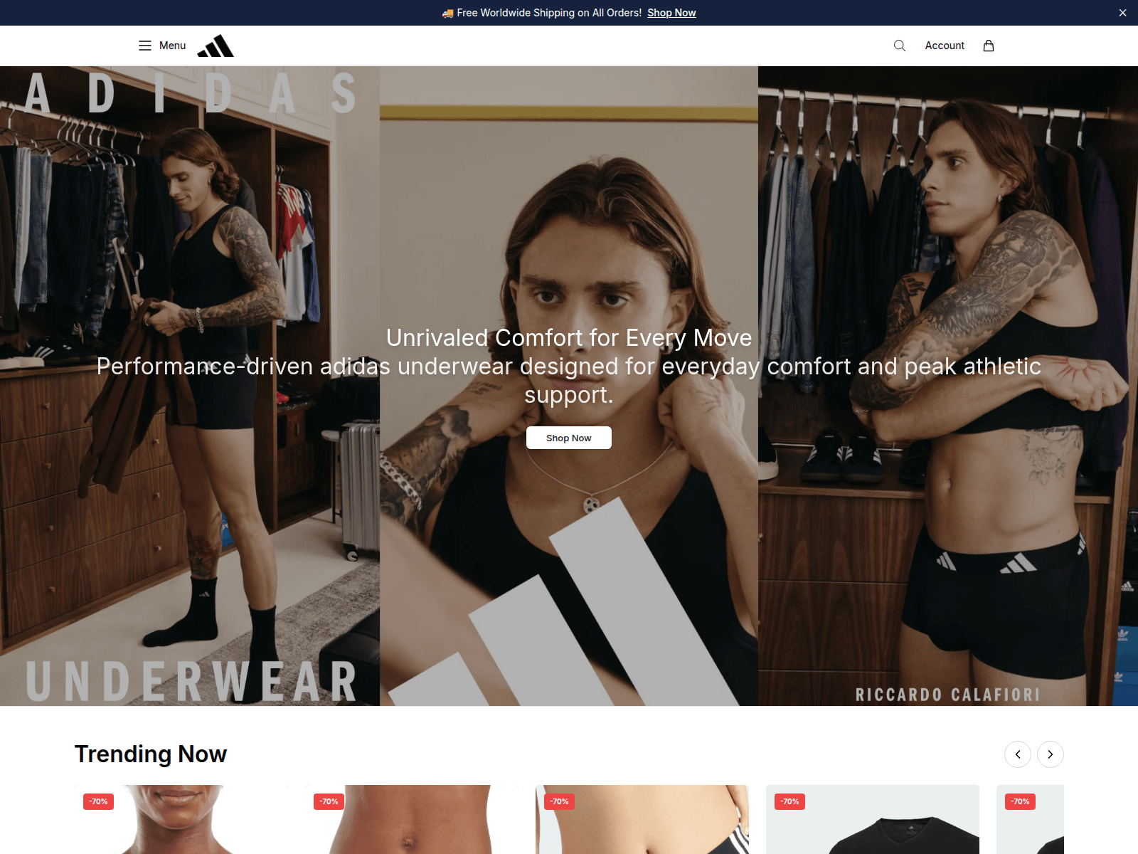 Screenshot of activeadidasstore.shop