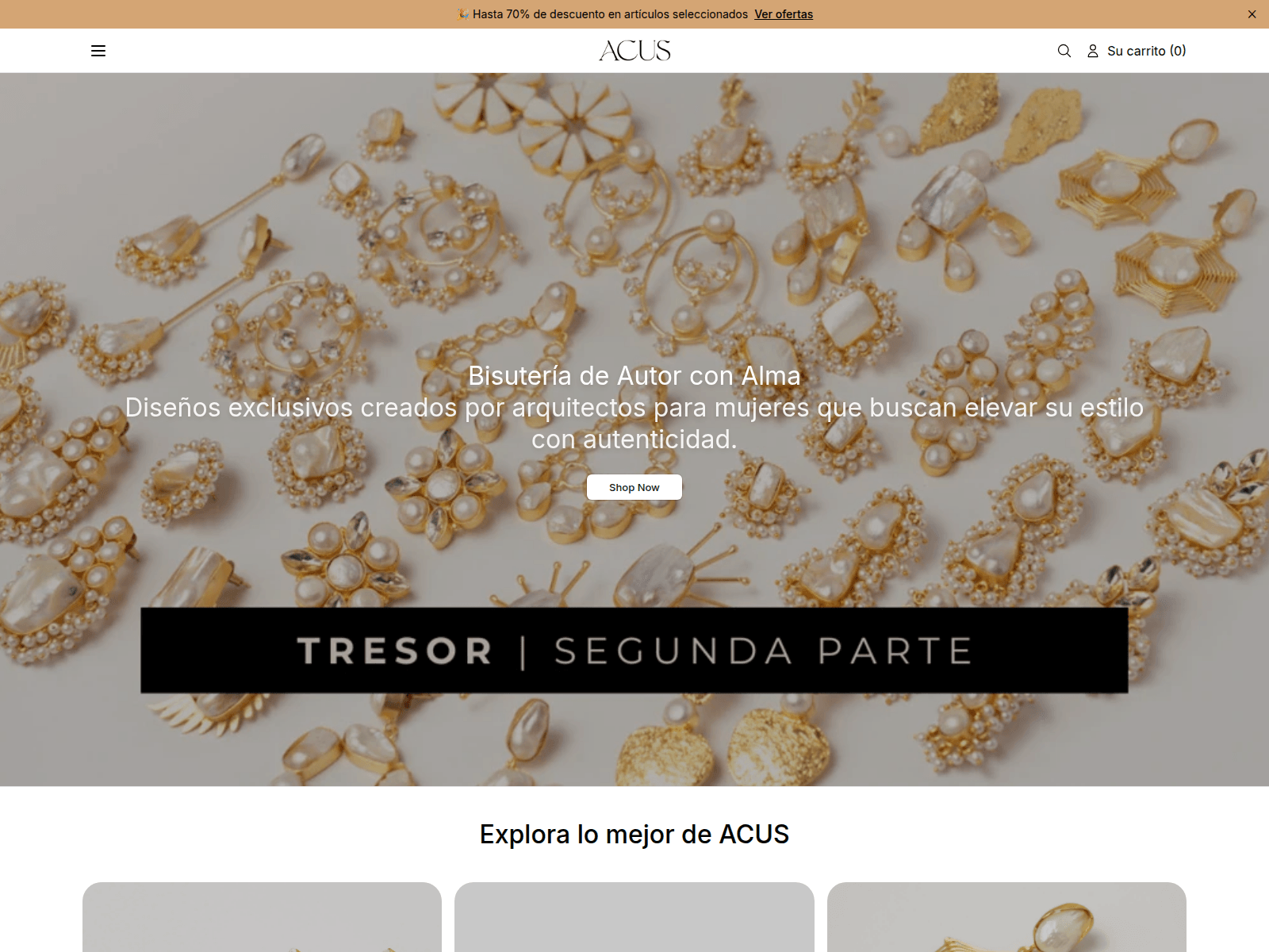 Screenshot of acusstudio.shop