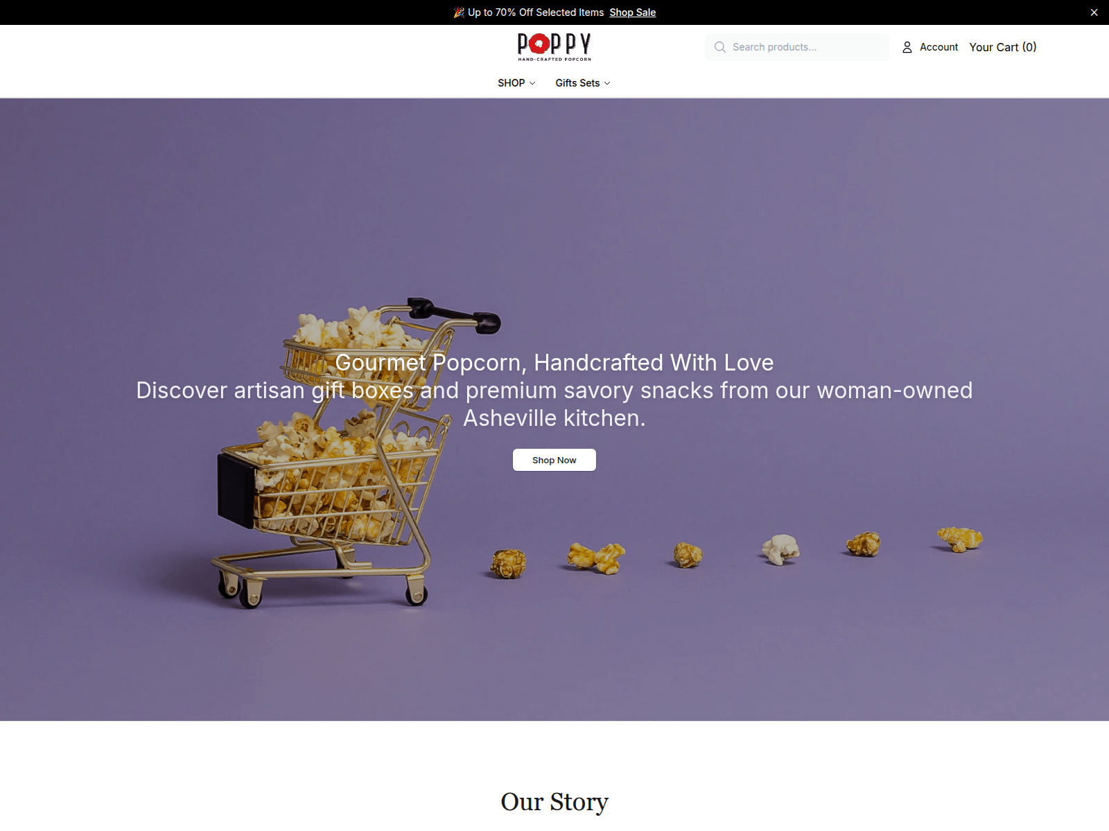 Screenshot of addisonstore.shop