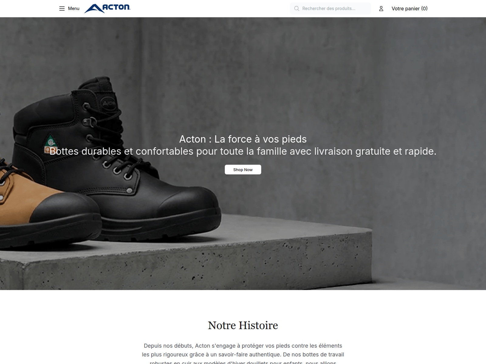 Screenshot of actoncanadaofficial.shop