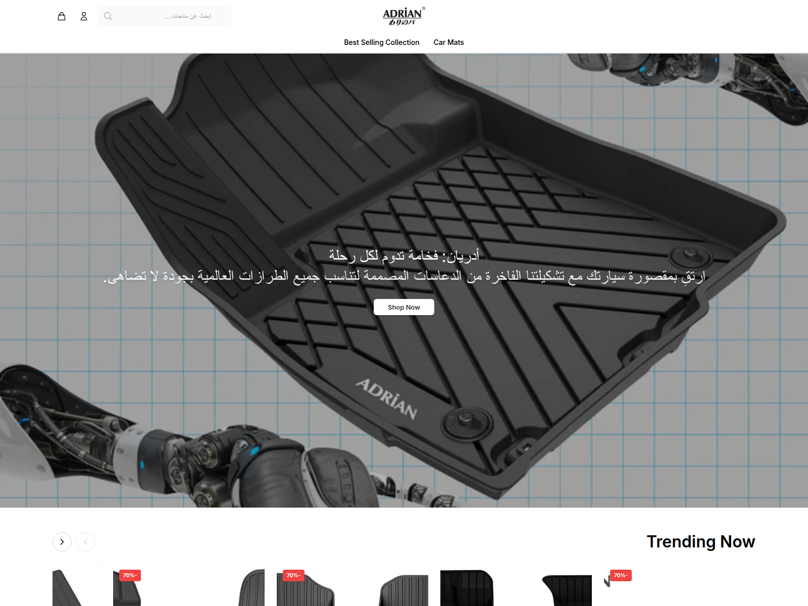 Screenshot of adriankauto.shop