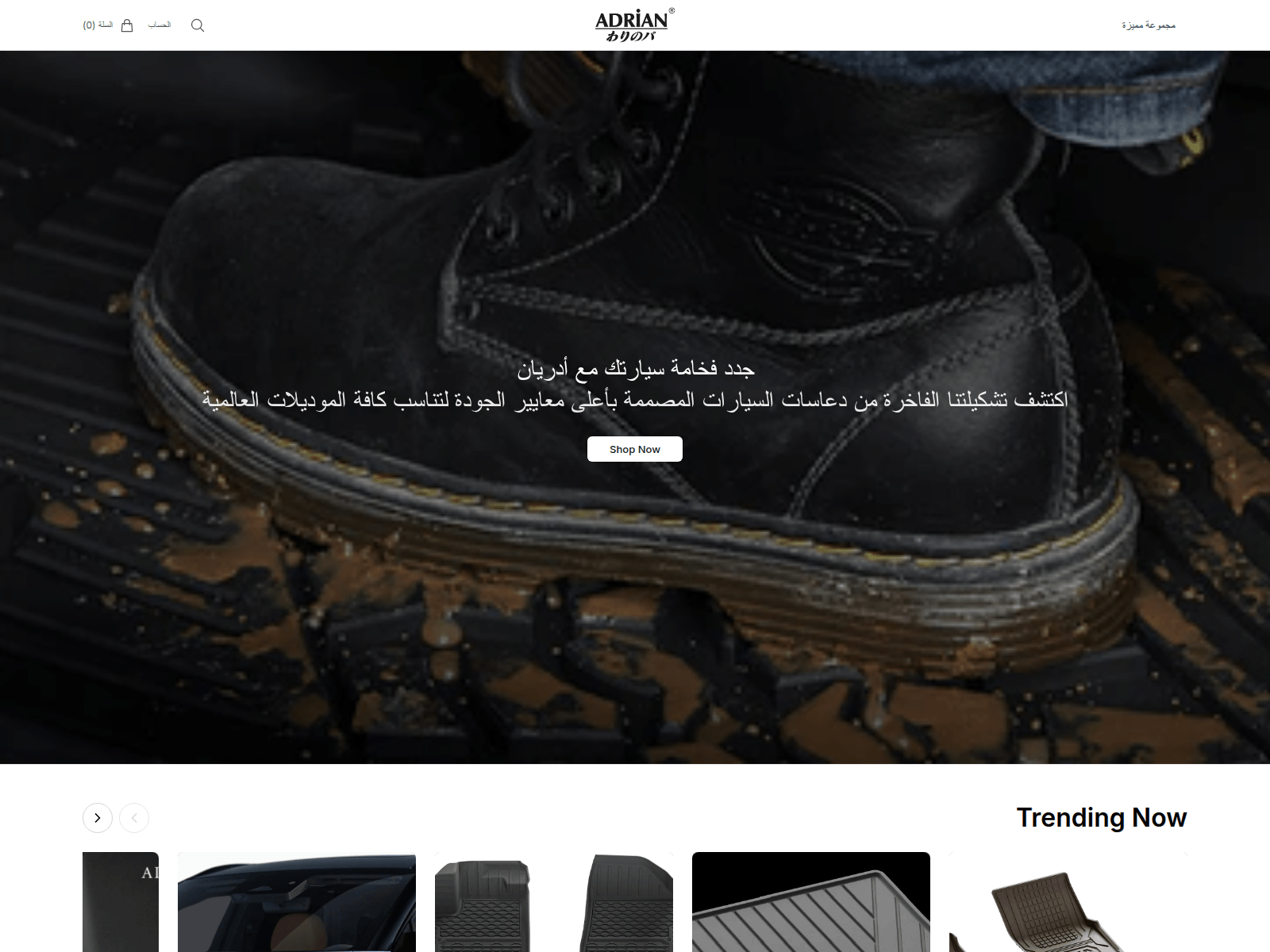 Screenshot of adrianksahq.shop