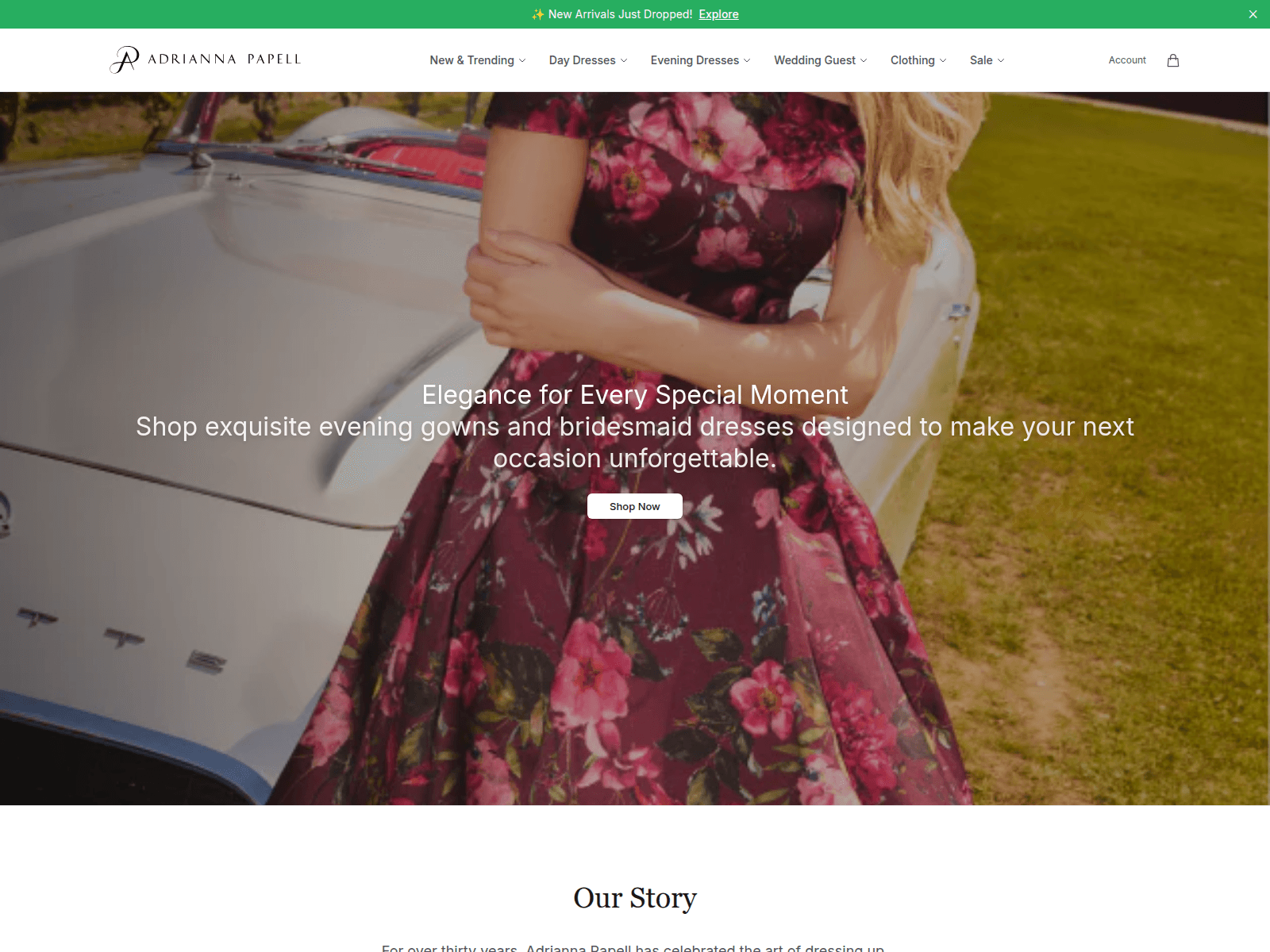 Screenshot of adriannapapellstyle.shop