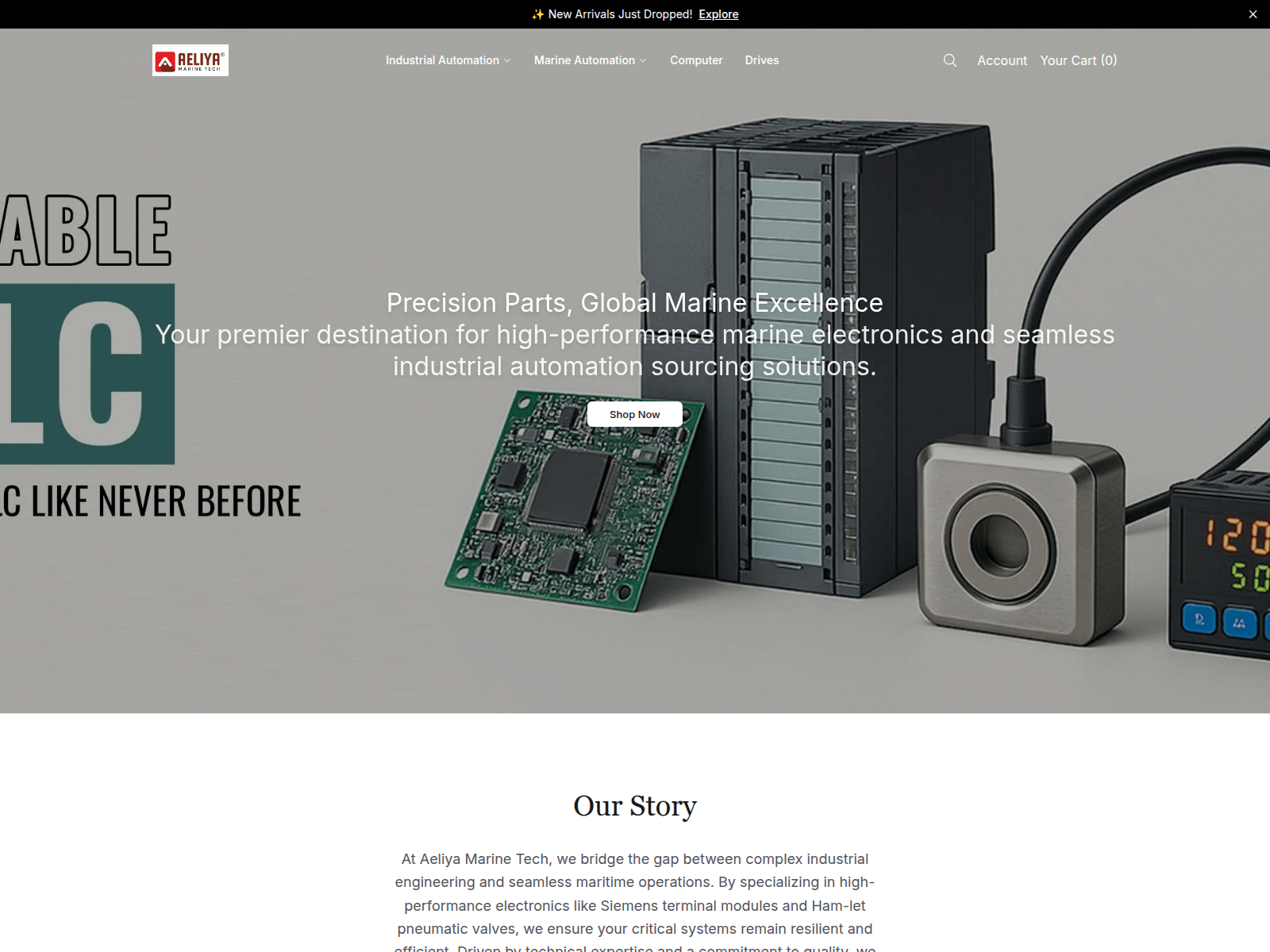 Screenshot of aeliyamarinetechonline.shop