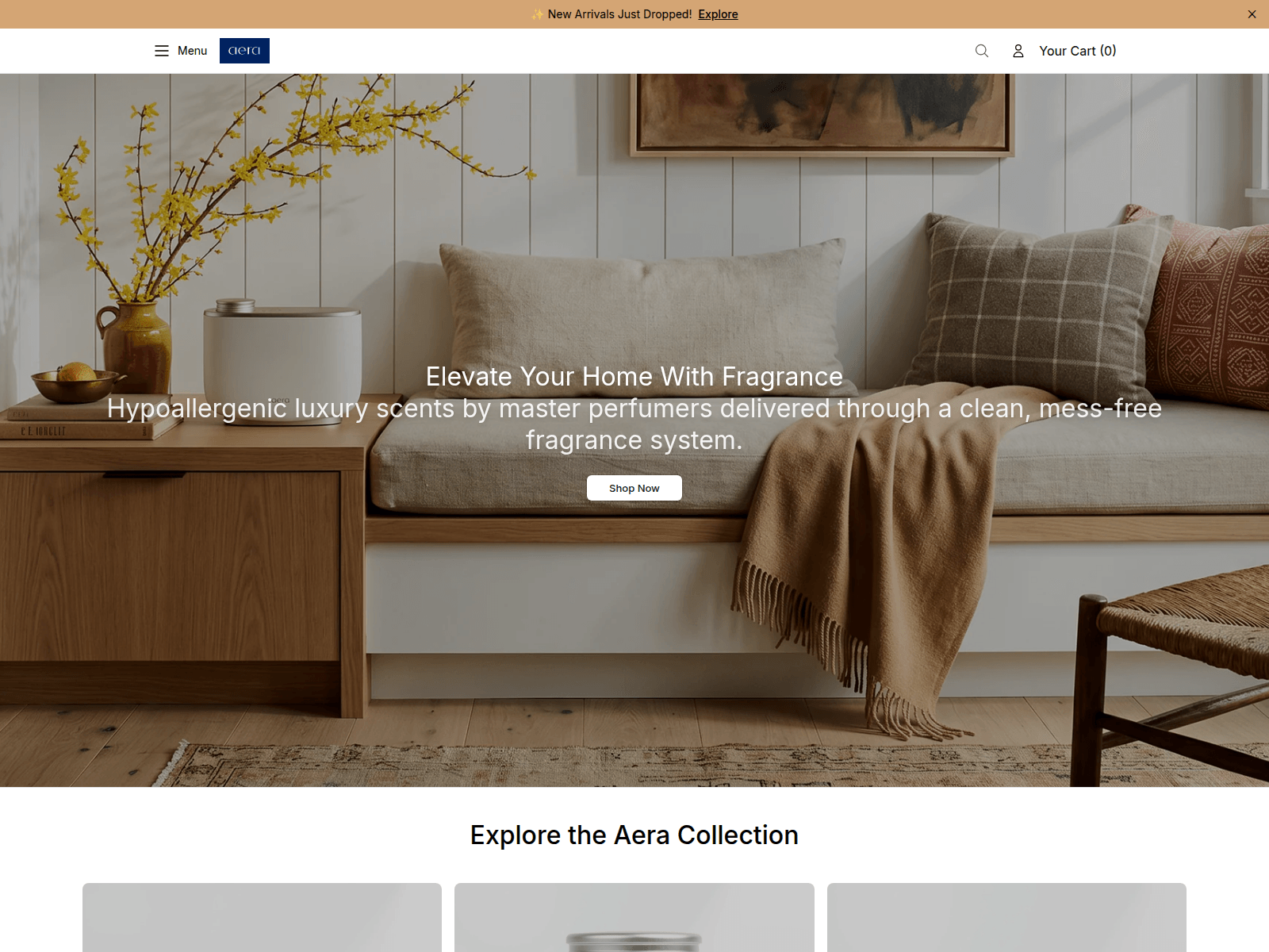 Screenshot of aerashop.shop