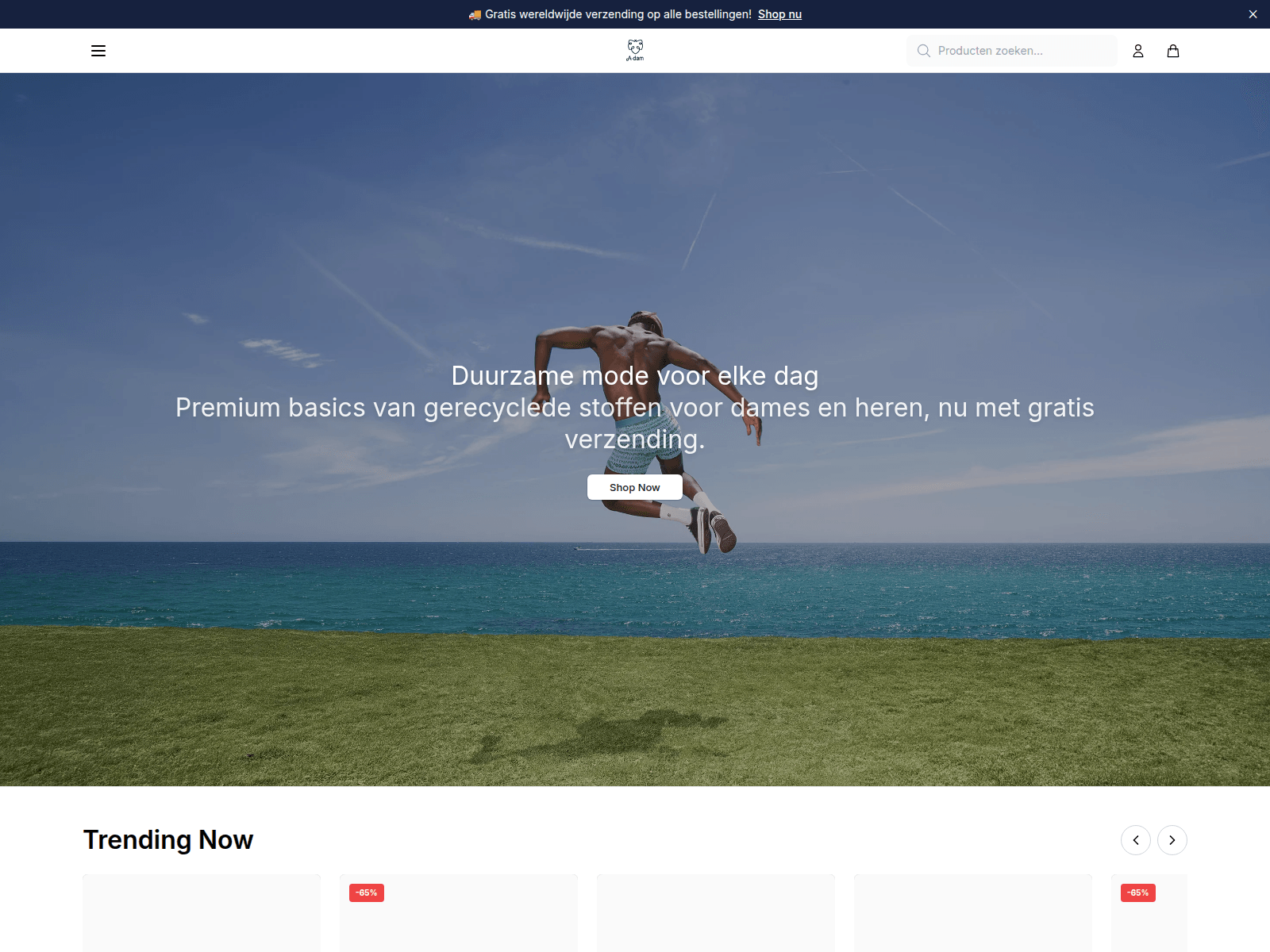 Screenshot of adamwear.shop