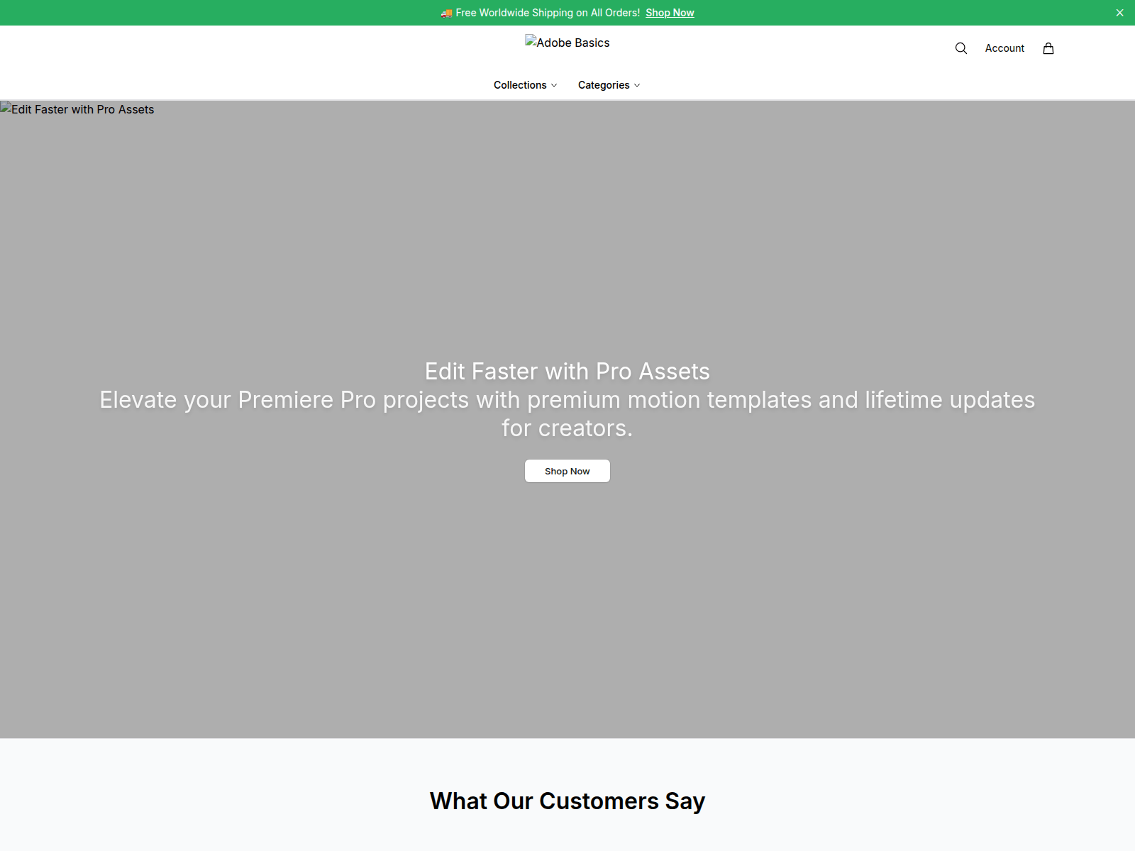 Screenshot of adobebasicsselect.shop
