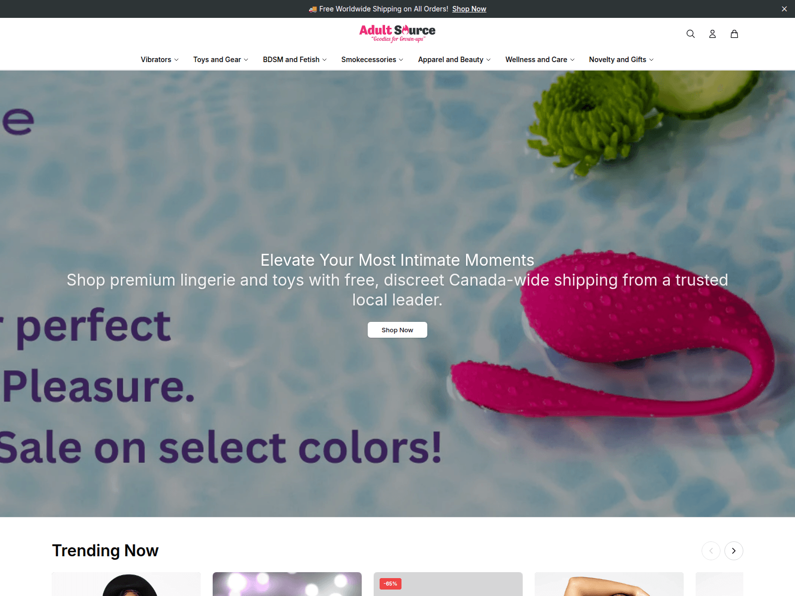 Screenshot of adultsourceboutique.shop