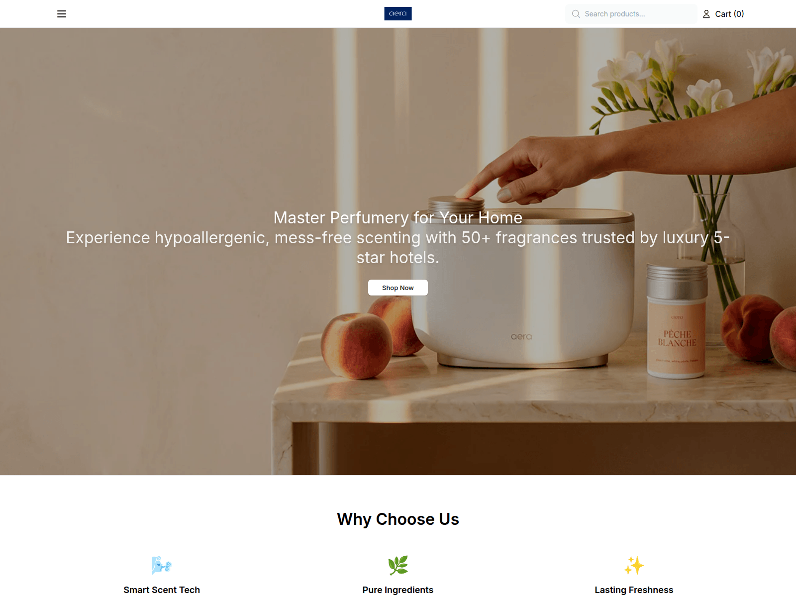 Screenshot of aeraofficial.shop