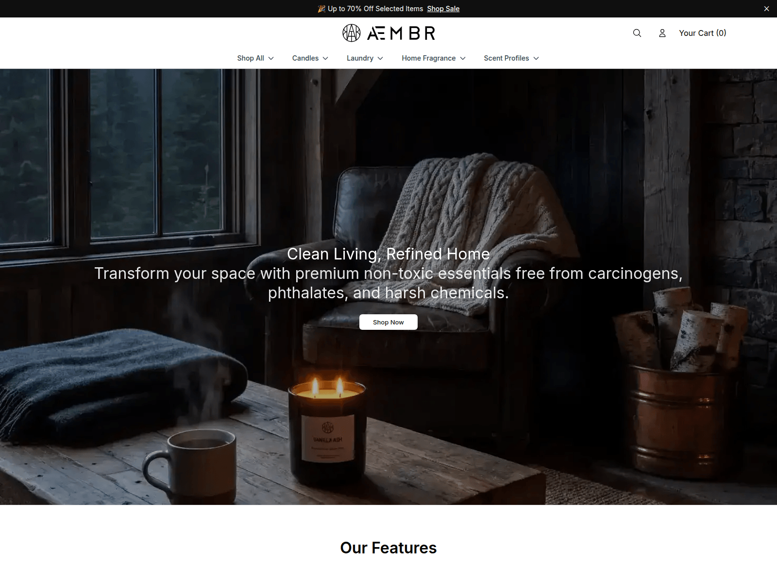 Screenshot of aembronline.shop