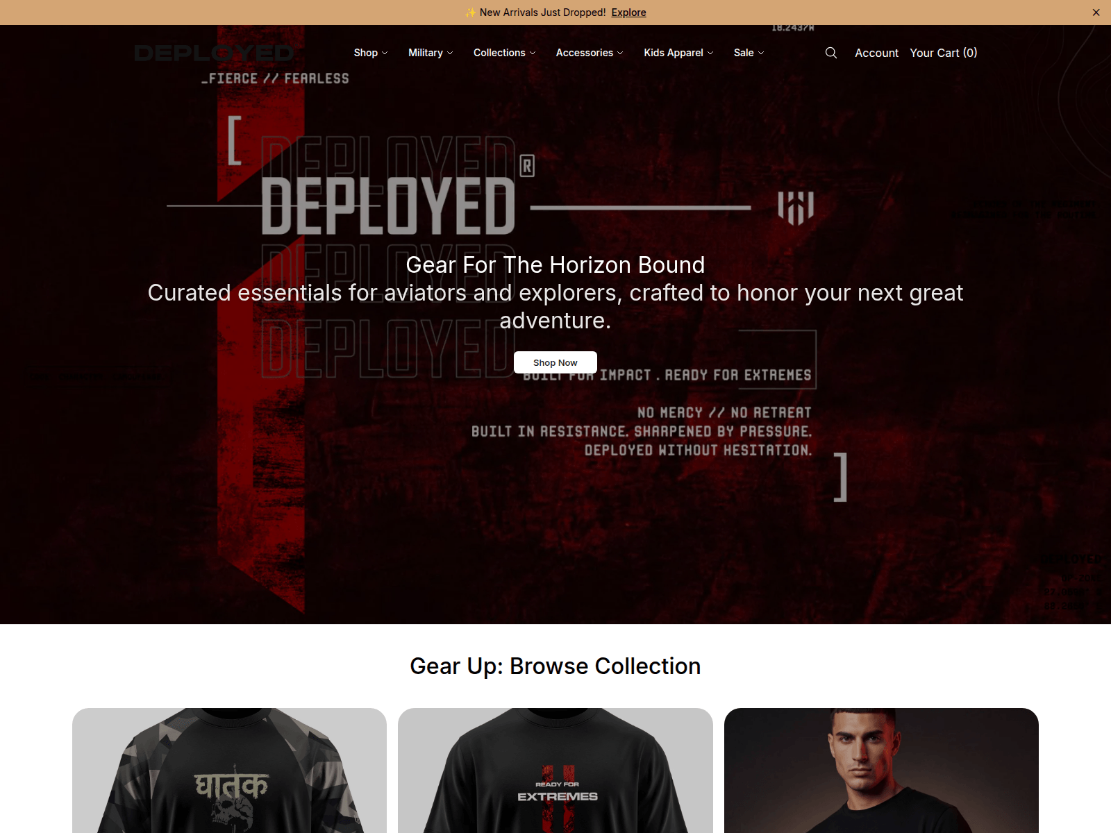 Screenshot of aeroarmourstyle.shop