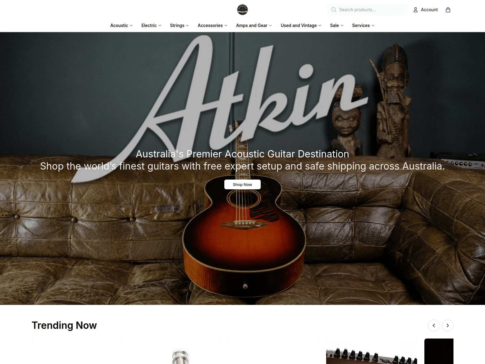 Screenshot of acousticcentrehq.shop