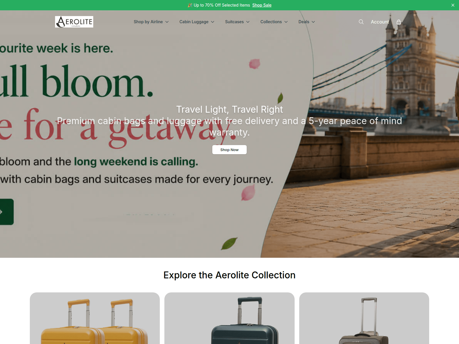 Screenshot of aeroliteofficial.shop