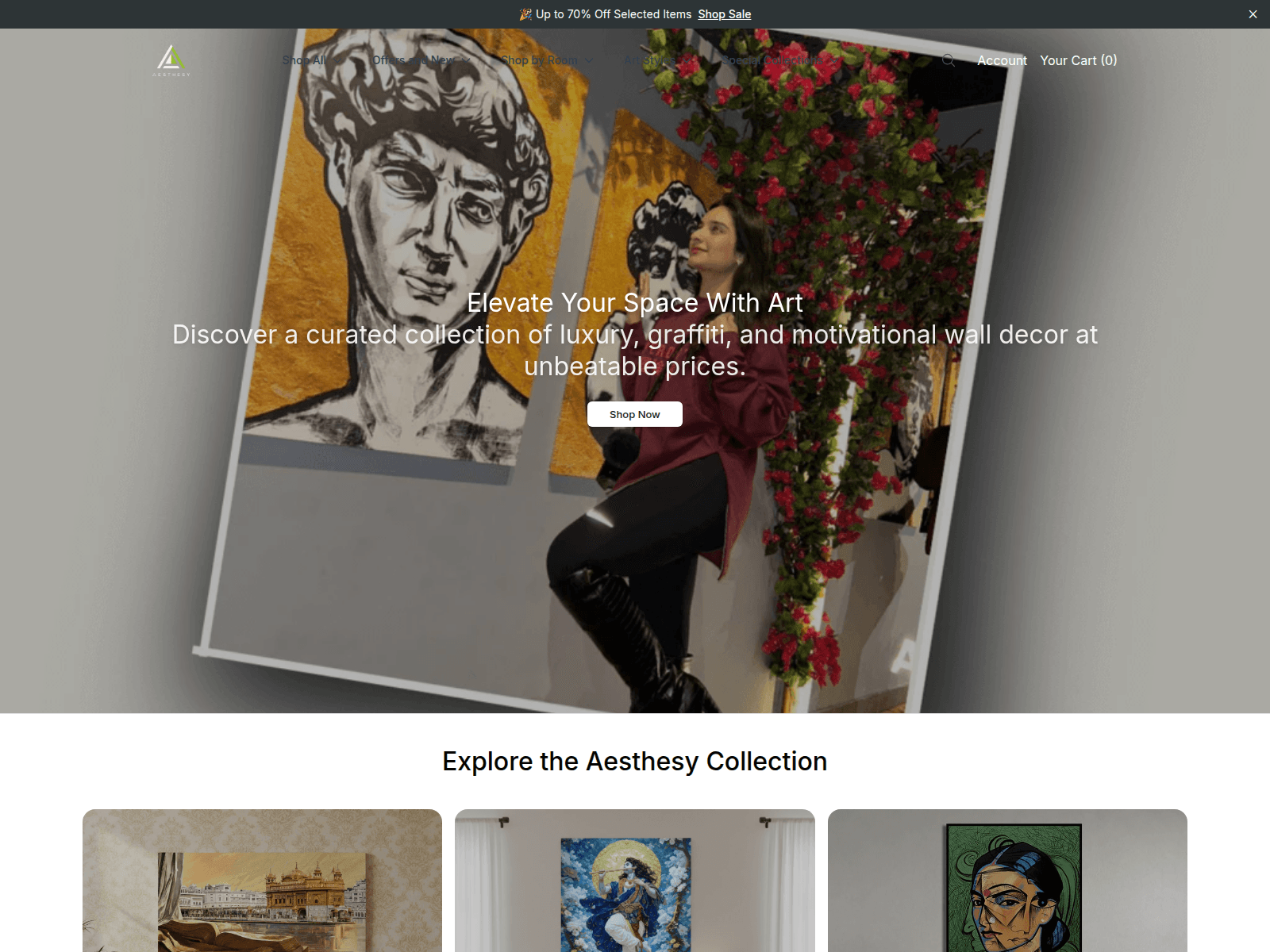 Screenshot of aesth.shop