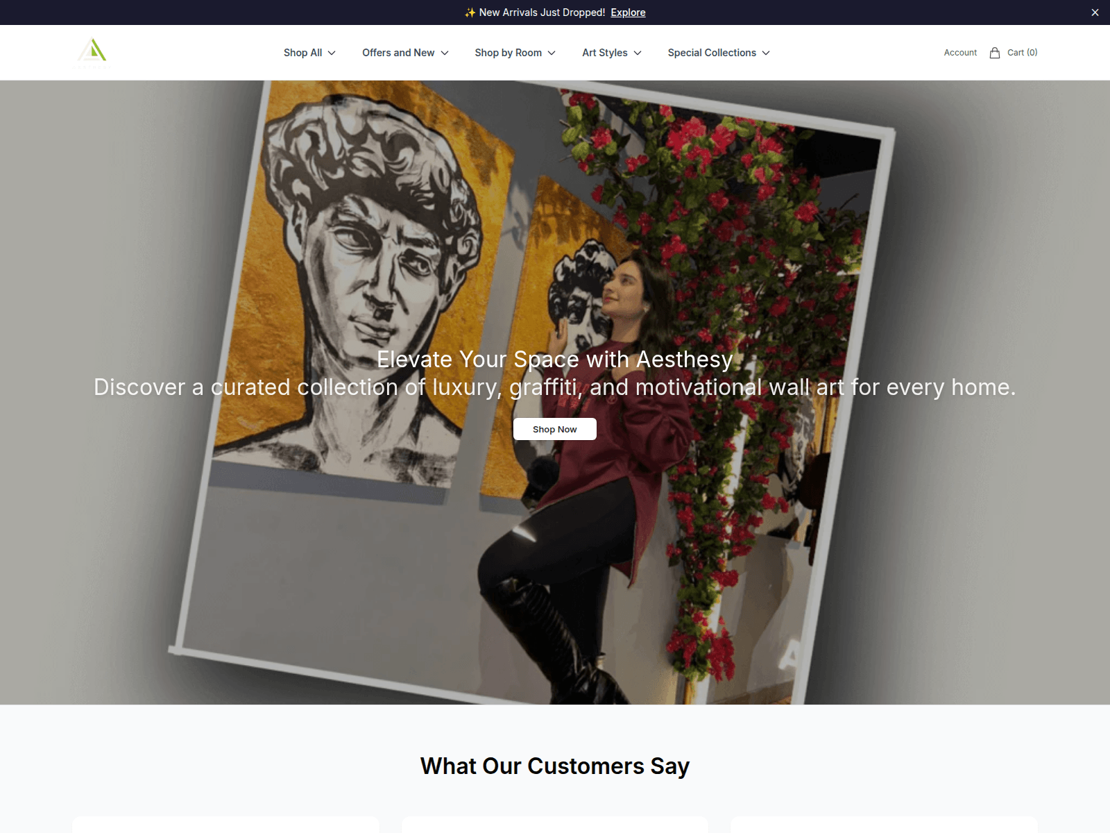 Screenshot of aesthesyshop.shop