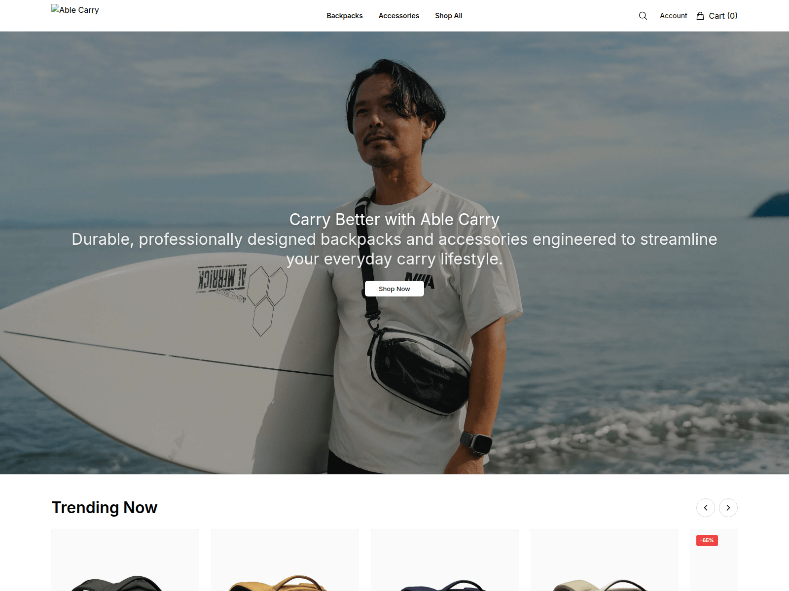 Screenshot of ablecarryco.shop