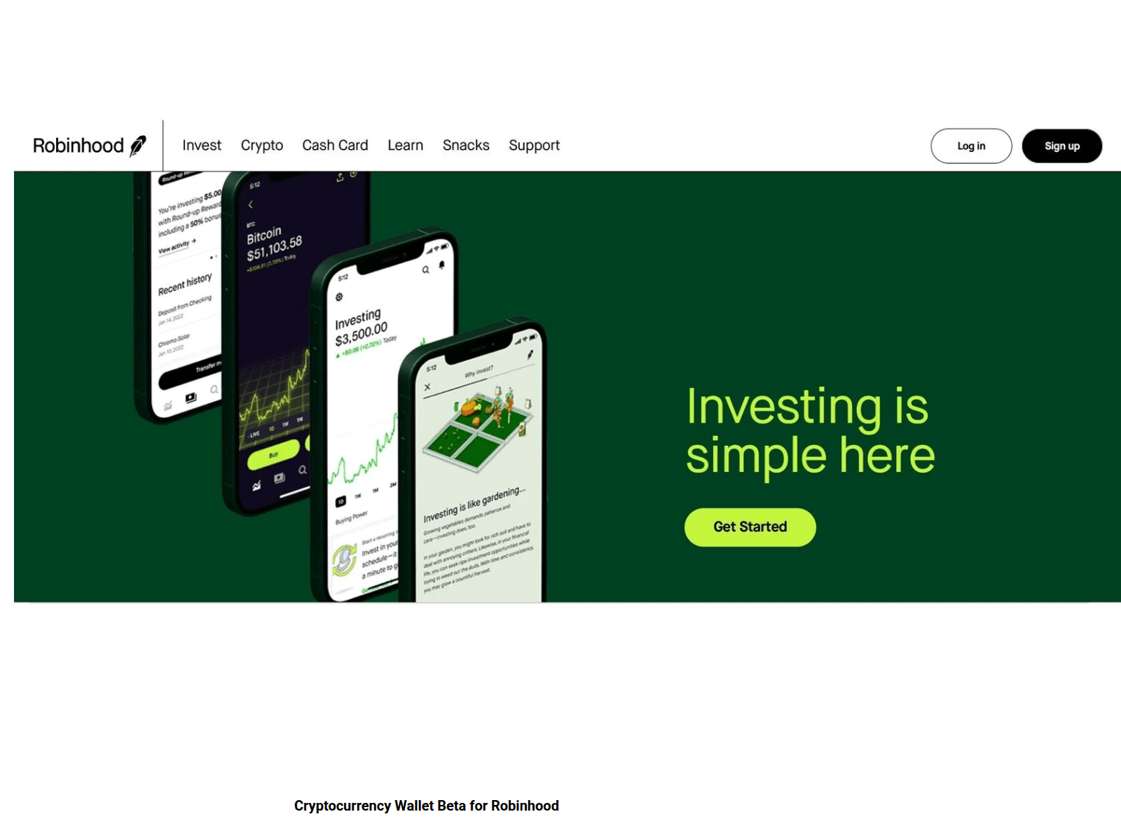 Screenshot of robinhoodilogin.tilda.ws