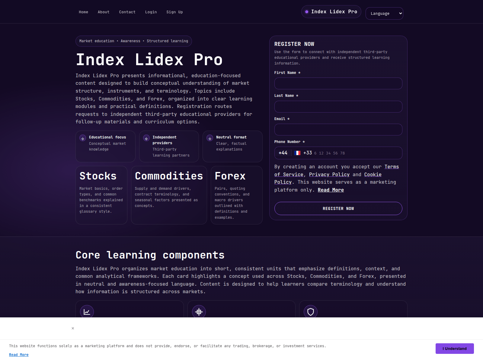 Screenshot of indexlidexpro-solution.com