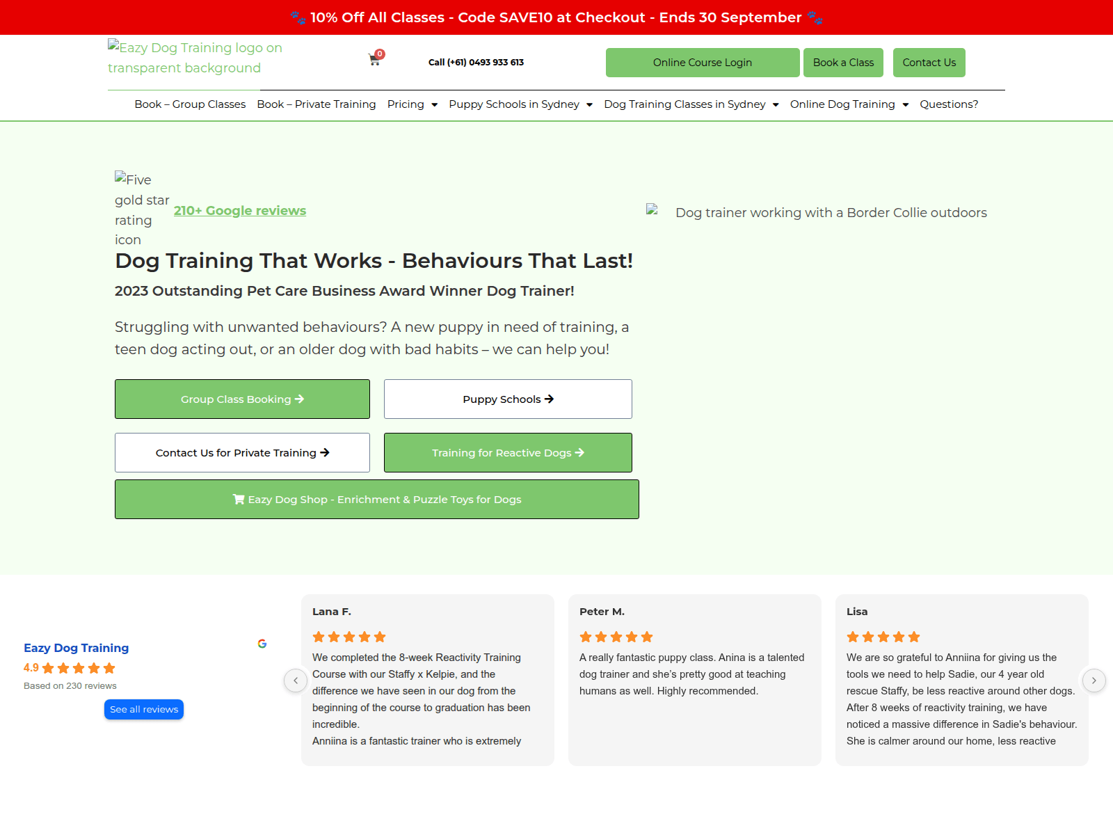 Captura de pantalla de eazydogtraining.live