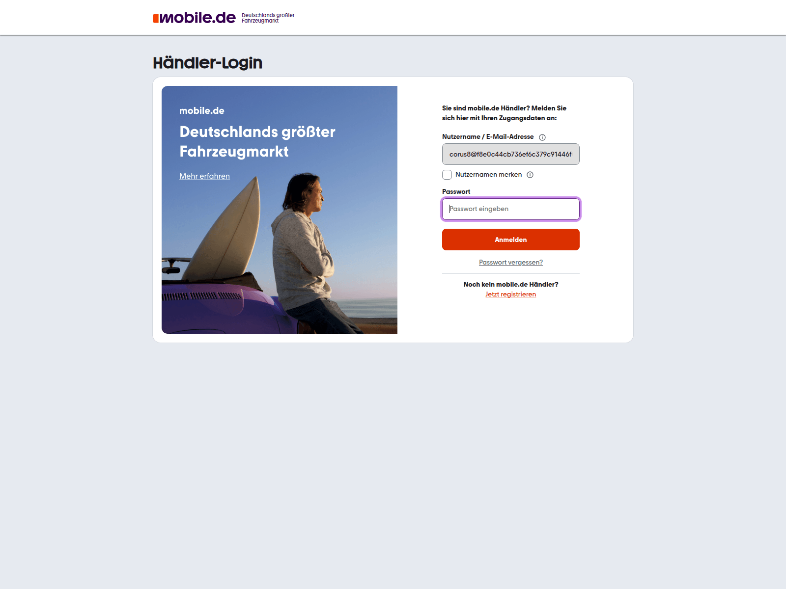 Screenshot of niels-meyer.de