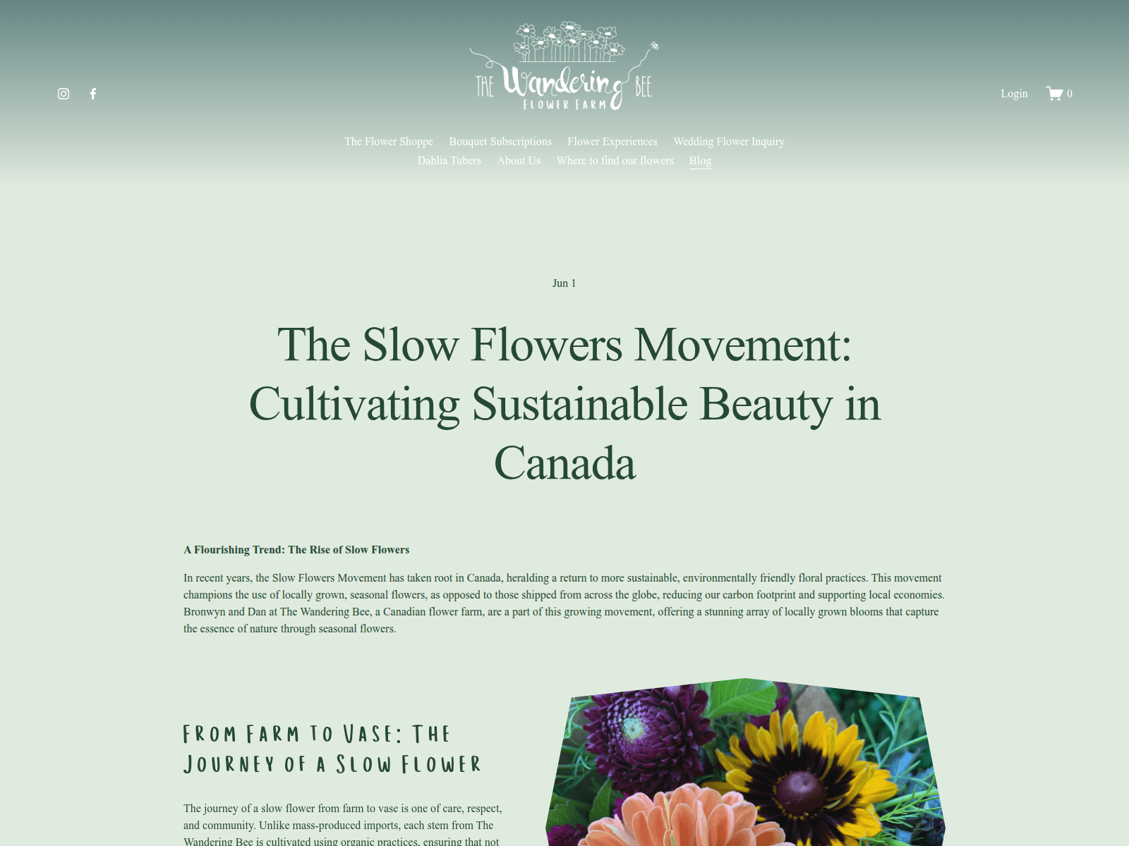 Screenshot of pahuropw.com