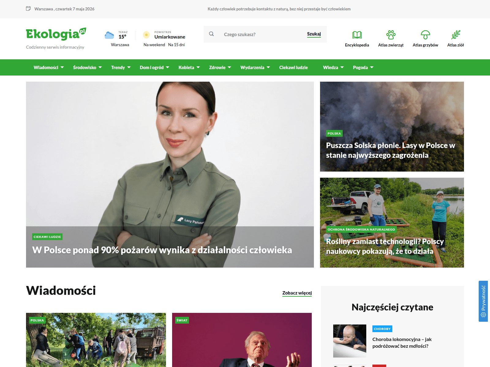 Screenshot of anoartistry.com