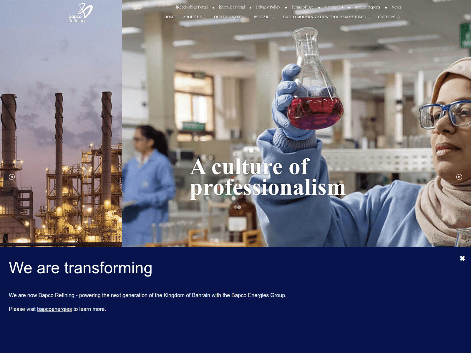Screenshot of bapcoemegies.com