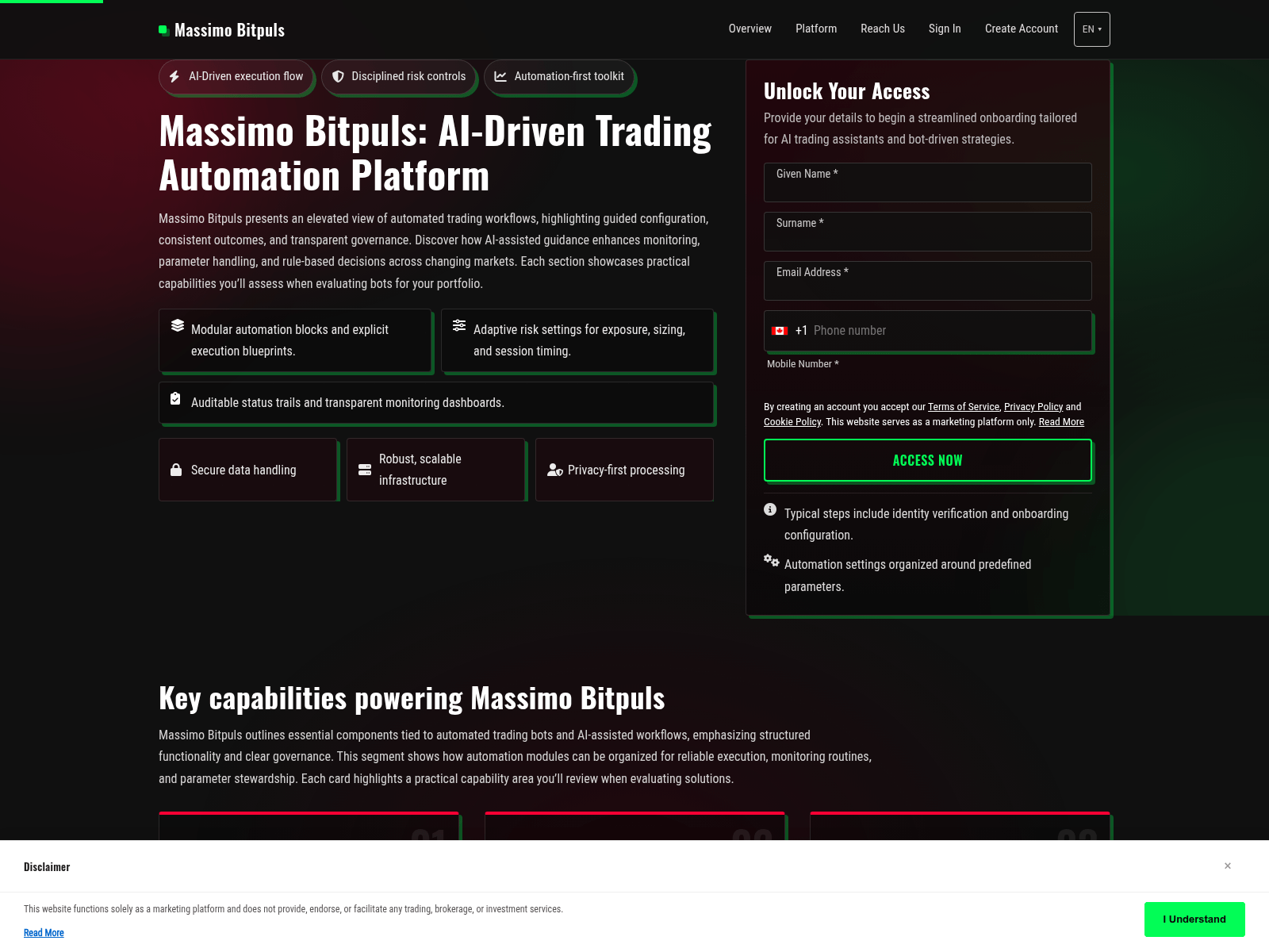 Screenshot of massimo-bitpuls-soft.com